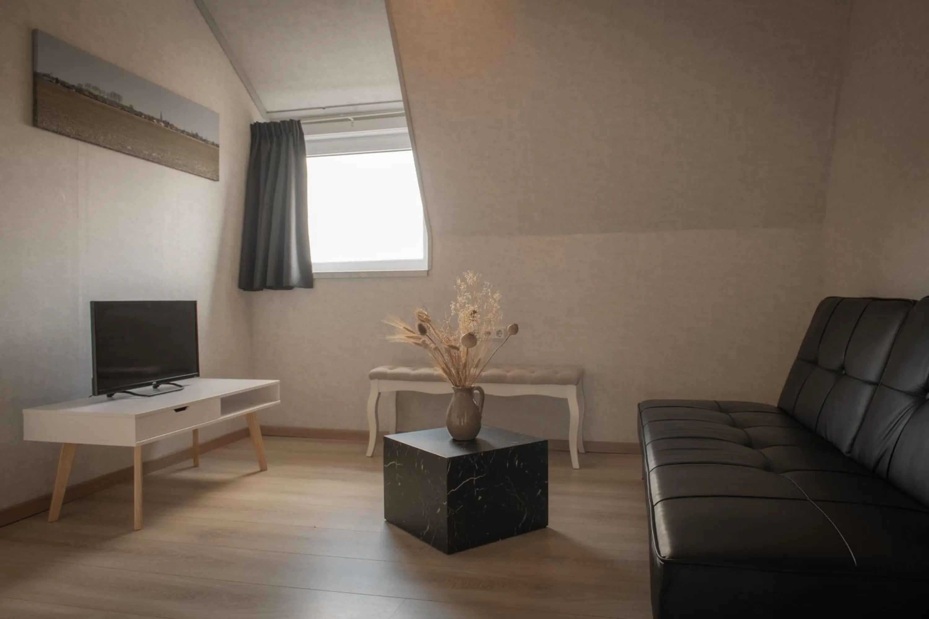 TV and multimedia in Hotel Groede