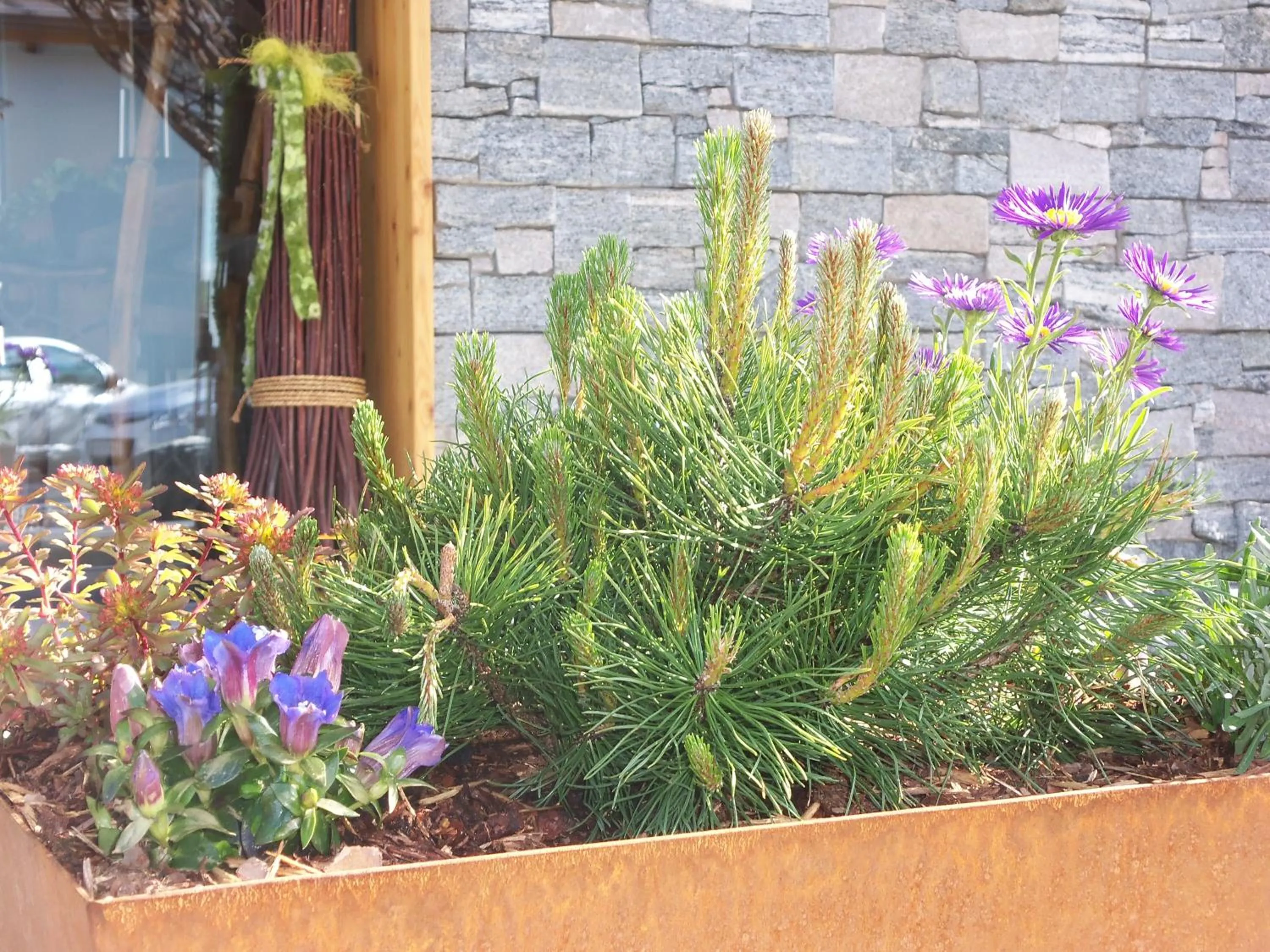 Garden in Alpinhotel Monte Superior - Silvretta Card Premium Betrieb