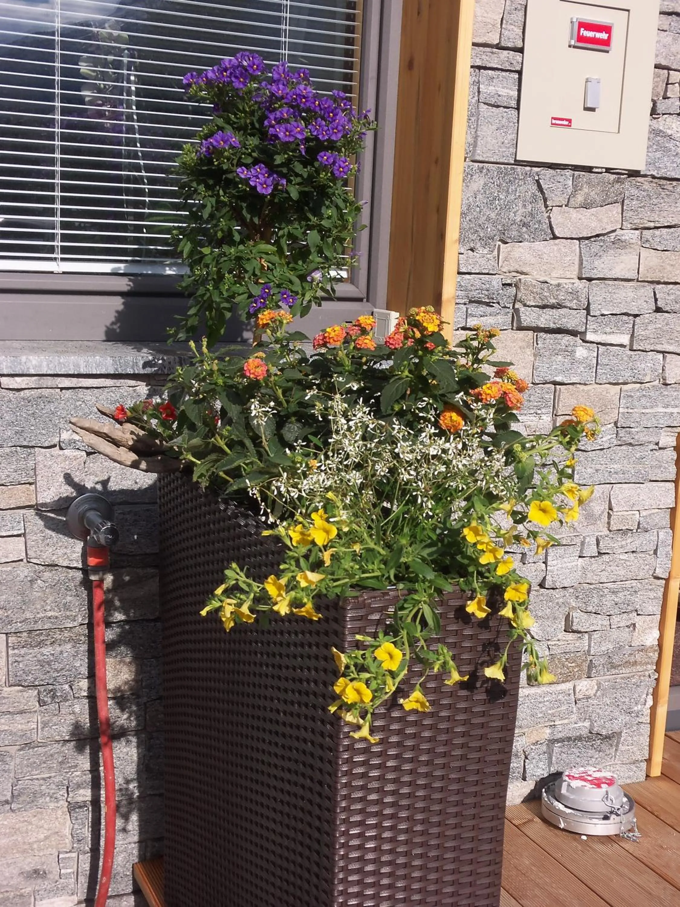 Facade/entrance in Alpinhotel Monte Superior - Silvretta Card Premium Betrieb