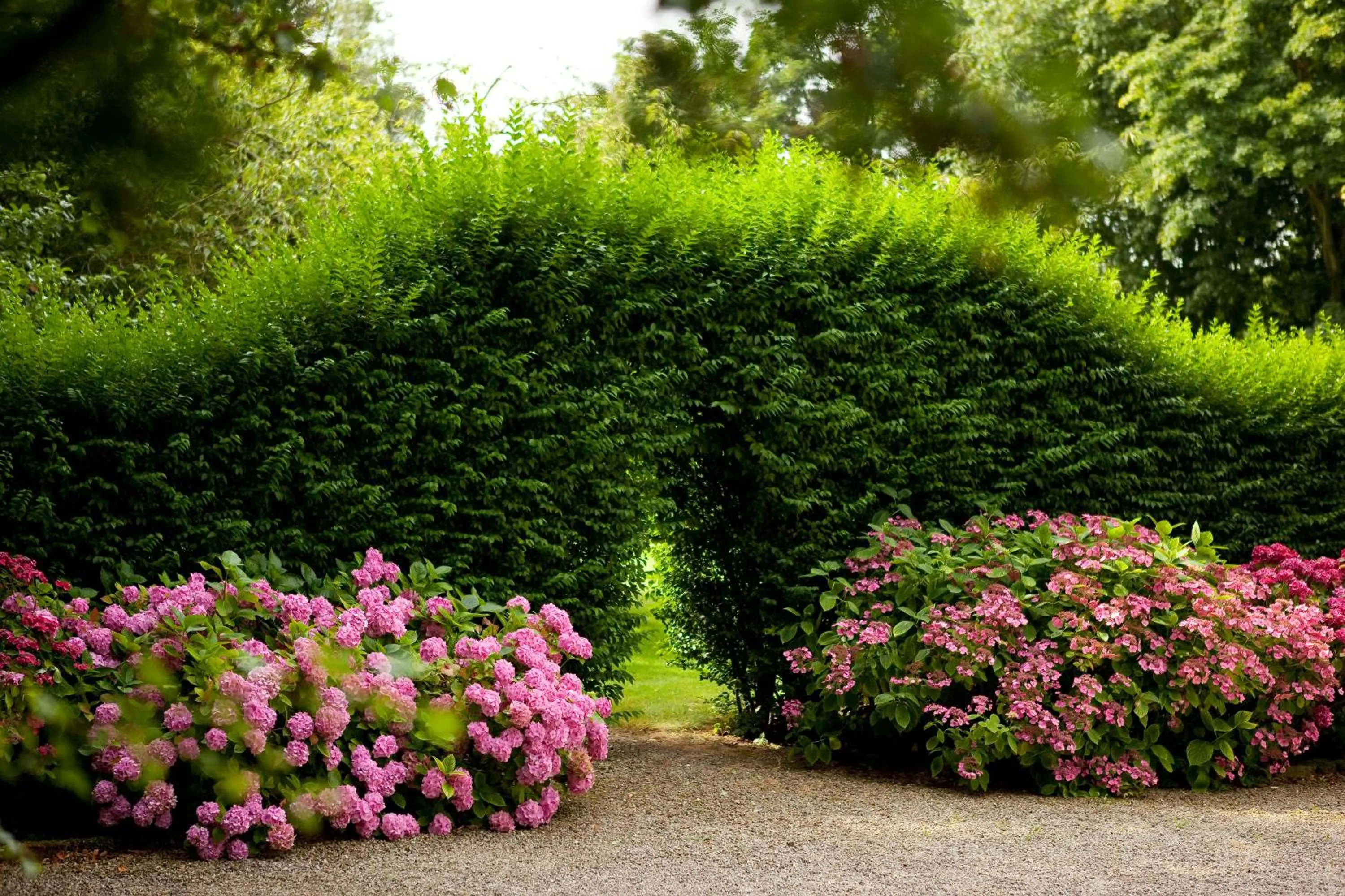 Garden in Château de la Marine