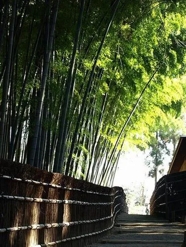 Natural landscape in Hotel Terrace the Garden Mito