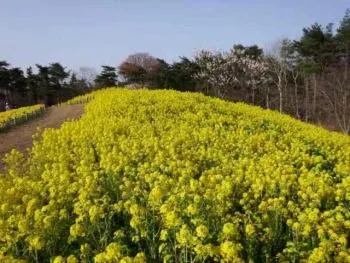 Area and facilities in Hotel Terrace the Garden Mito