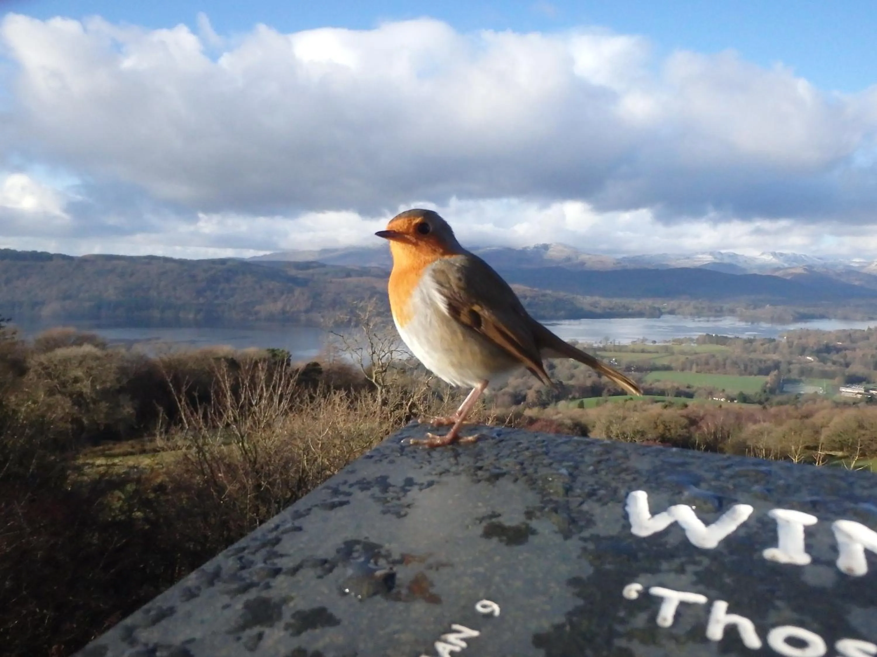 Nearby landmark in Haisthorpe Guest House