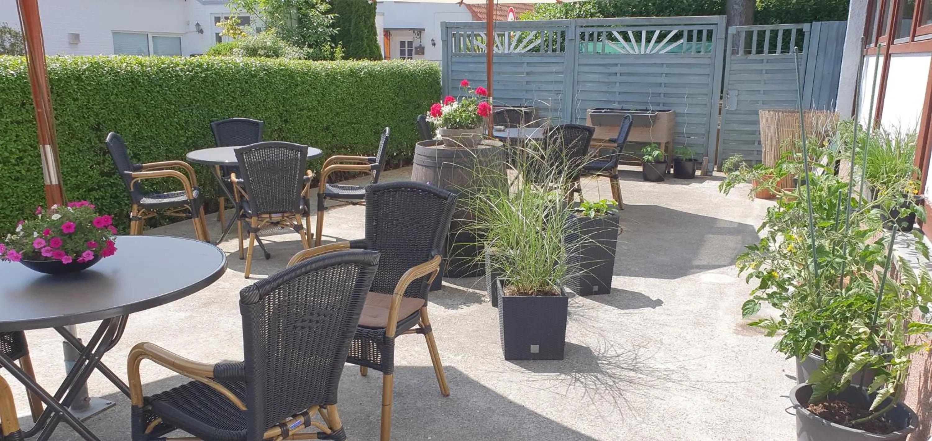Balcony/Terrace in Hotel Pension Haus Irene