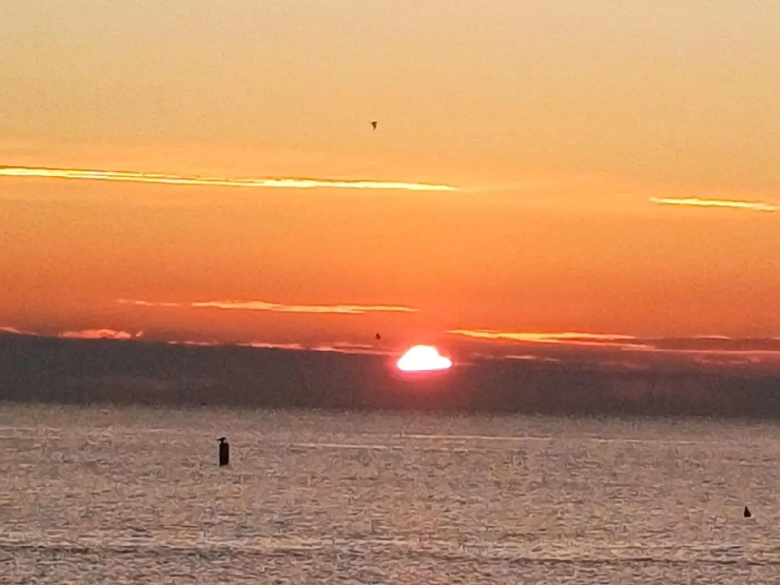 Summer in Hotel Promenade