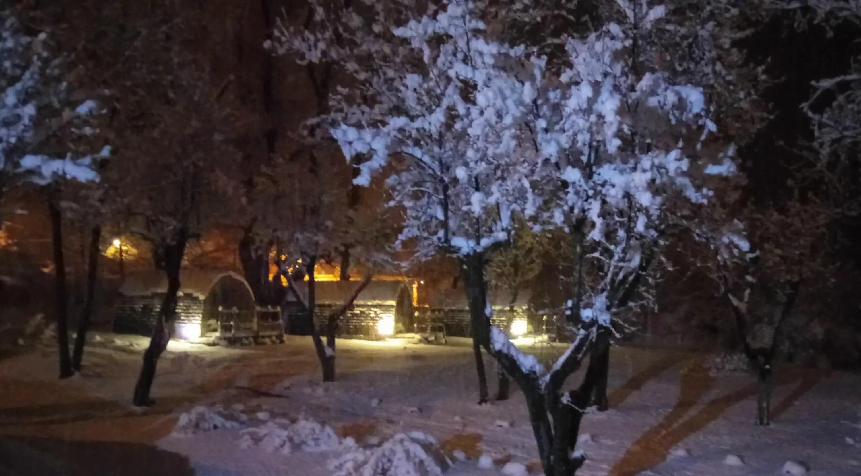 Photo of the whole room in Hôtel Le Martagon