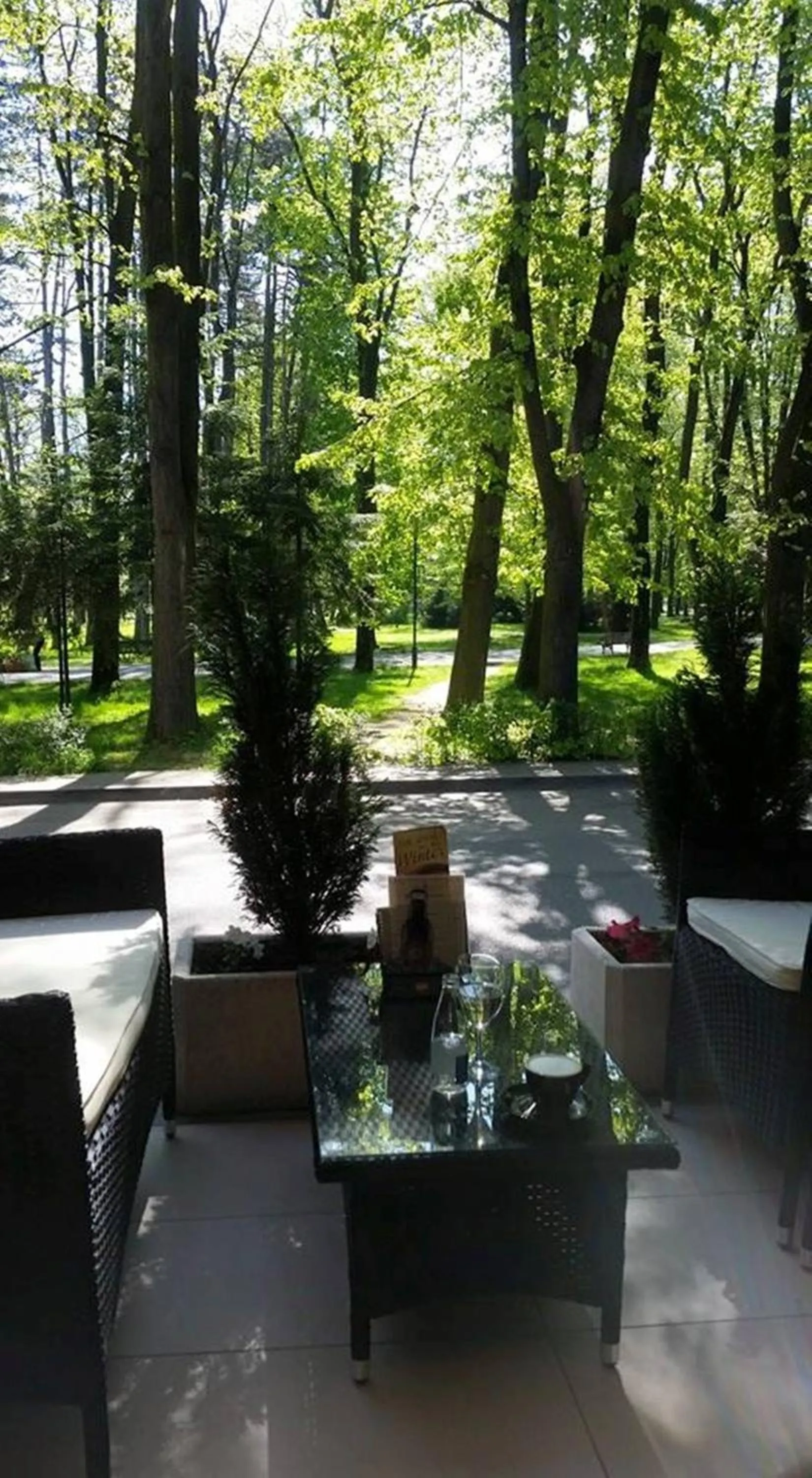 Garden in Hotel Royal Spa