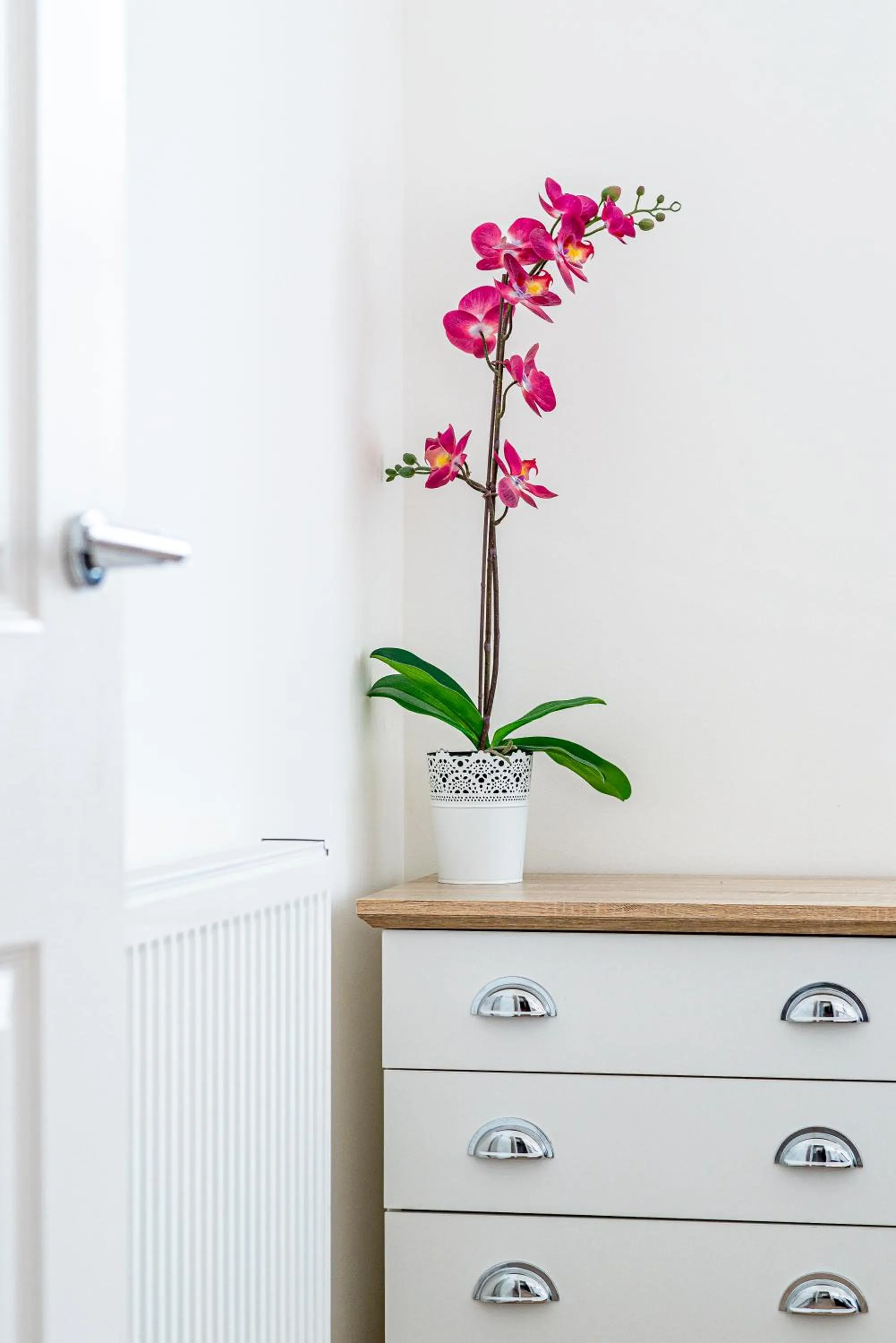 Decorative detail in Greyfriars