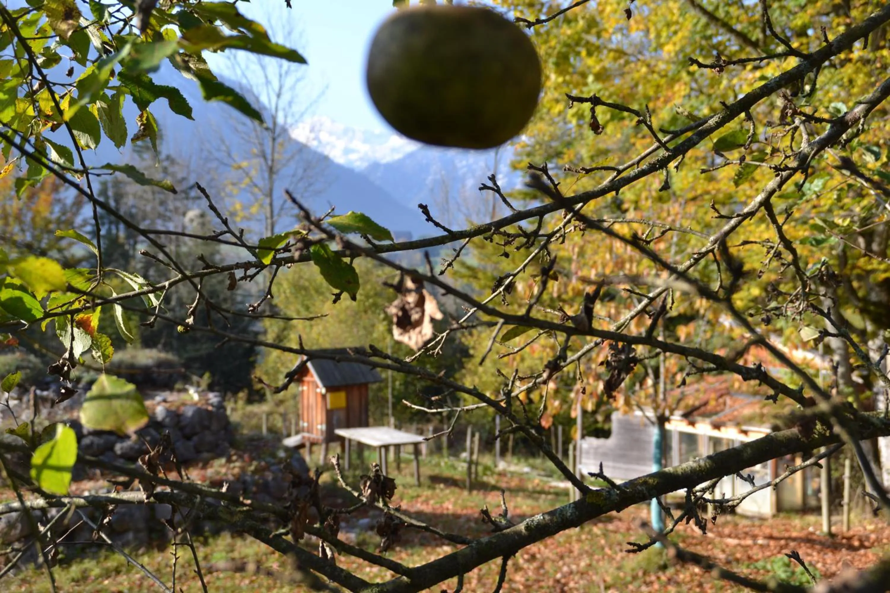 Garden in Oase Berta