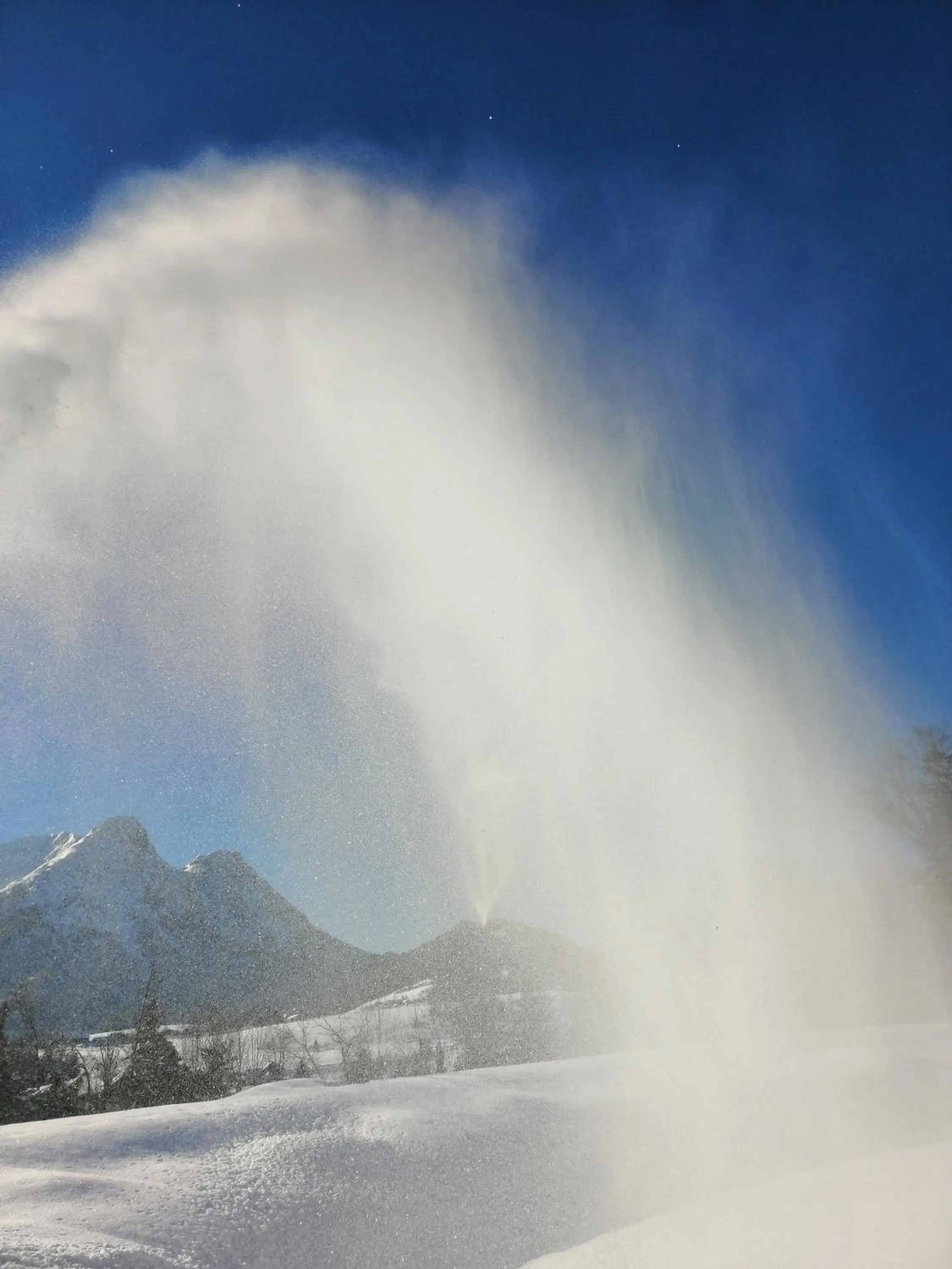 Garden in Oase Berta