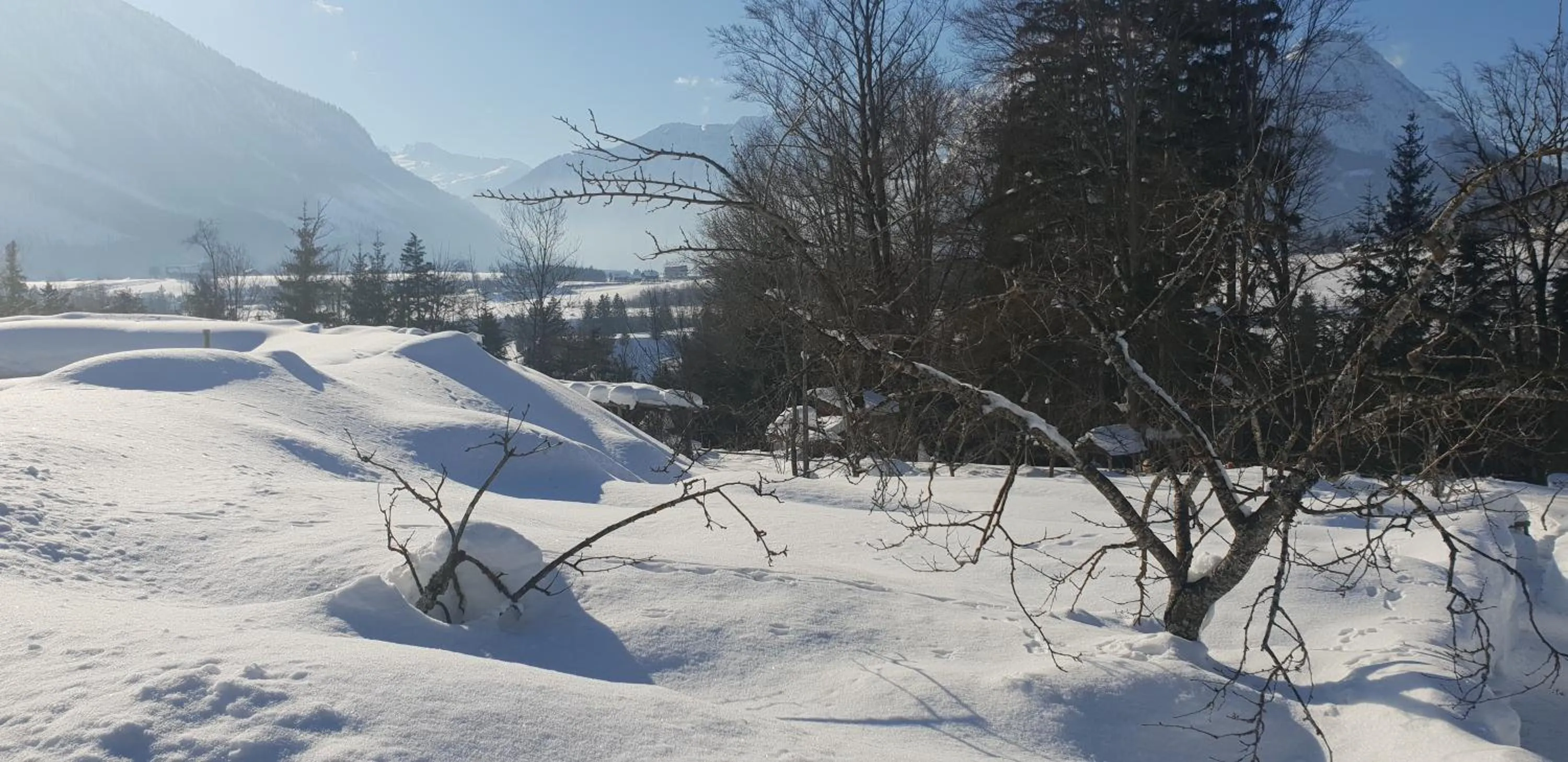Garden in Oase Berta
