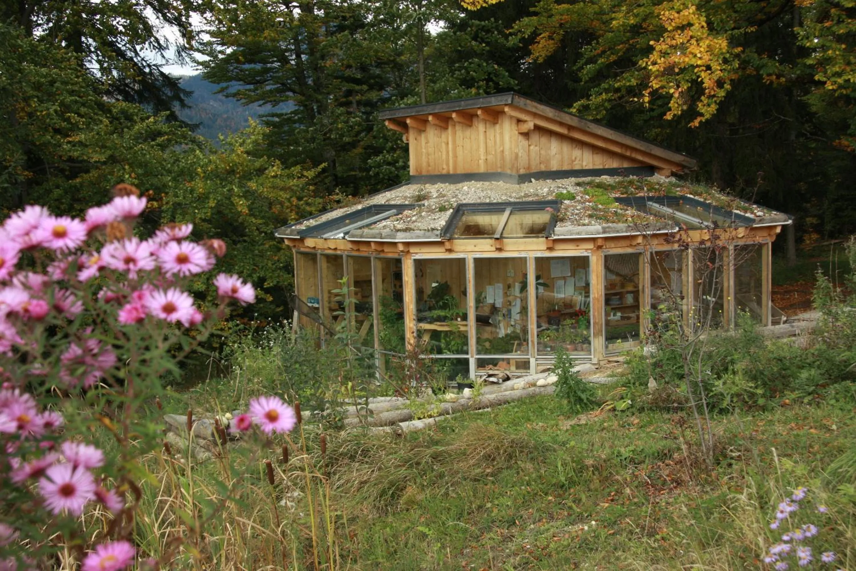 Garden in Oase Berta