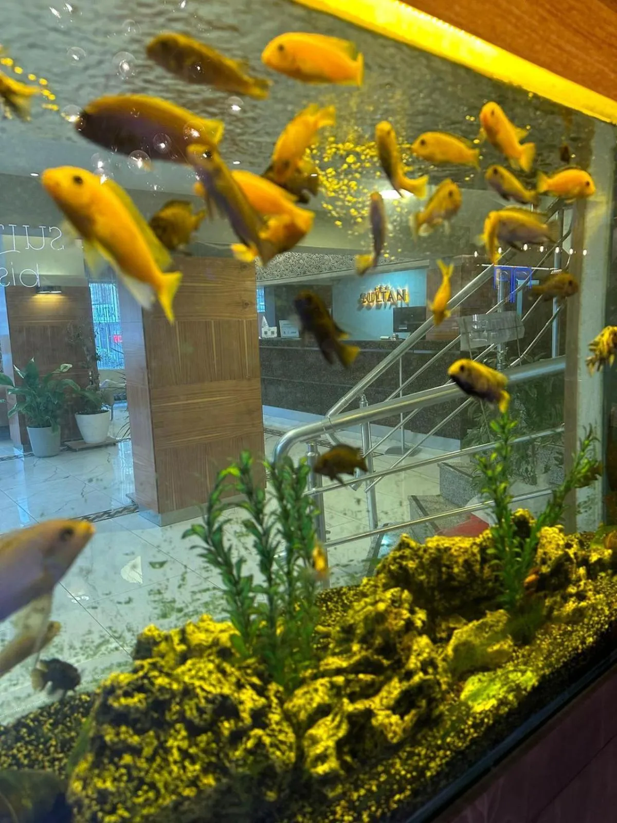 Sultan Hotel-Restaurant-Bistro