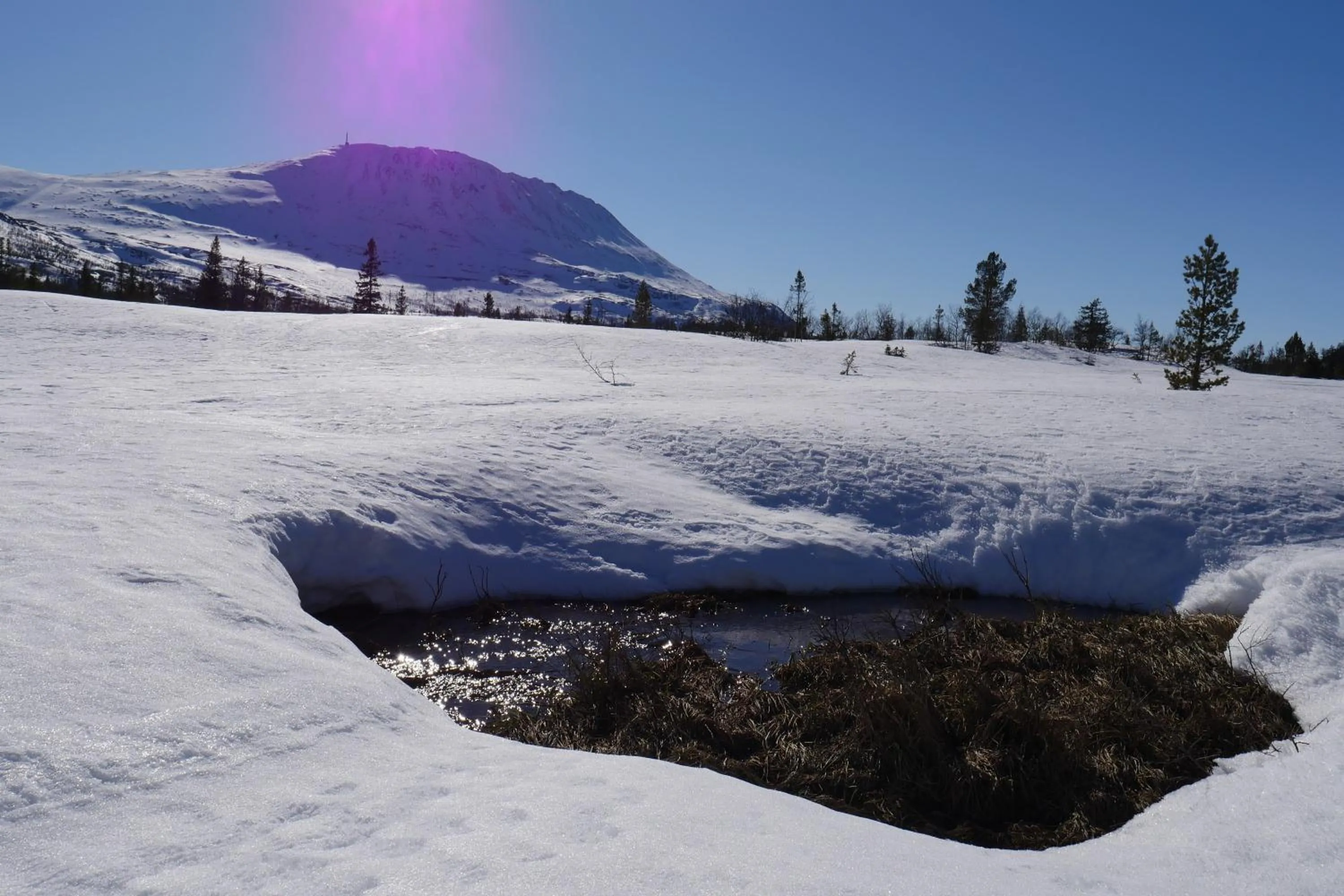 Natural landscape in Kvitåvatn Fjellstue