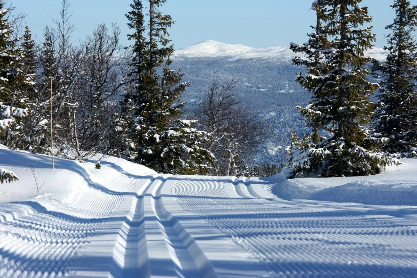 Natural landscape in Kvitåvatn Fjellstue