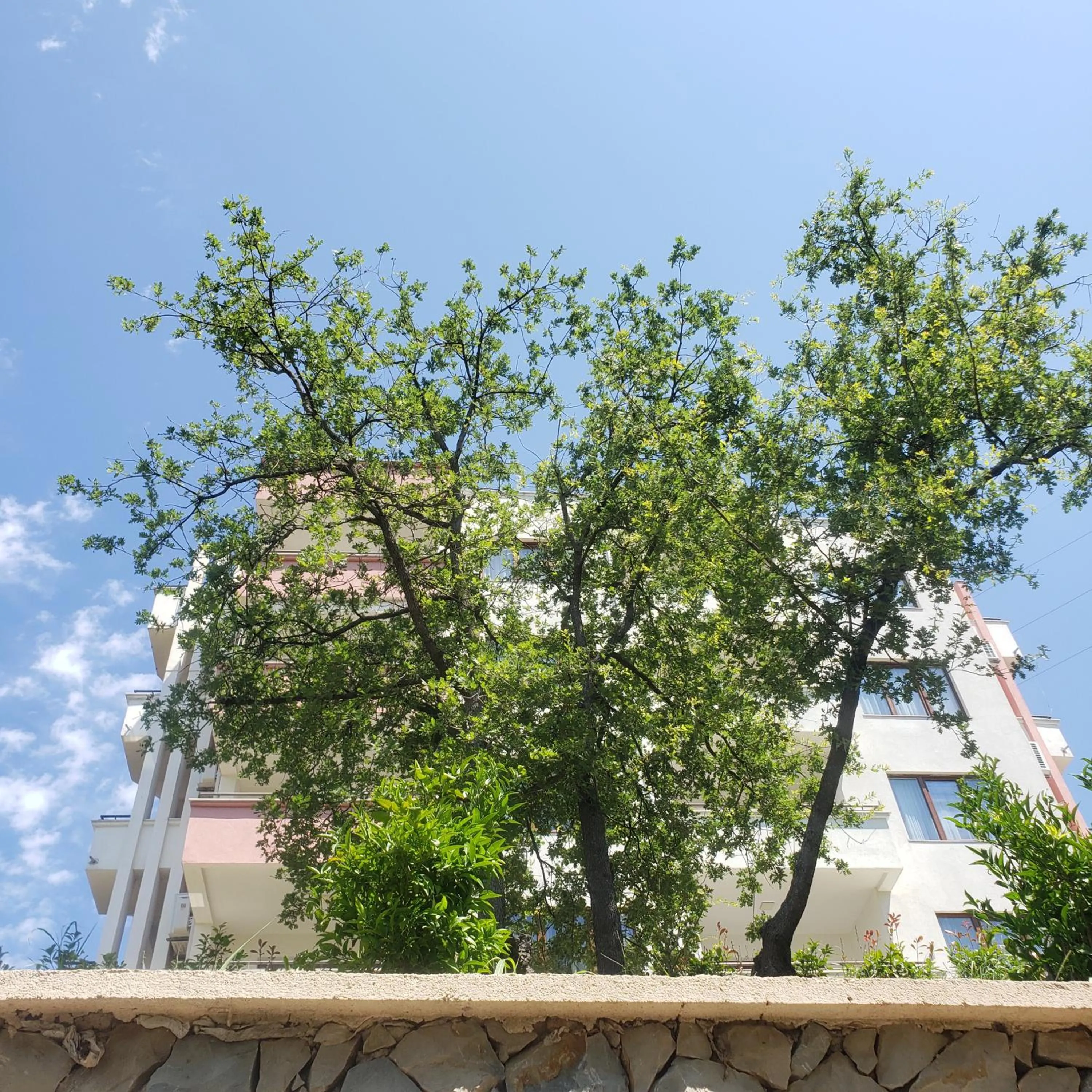 Green Hill Apartments
