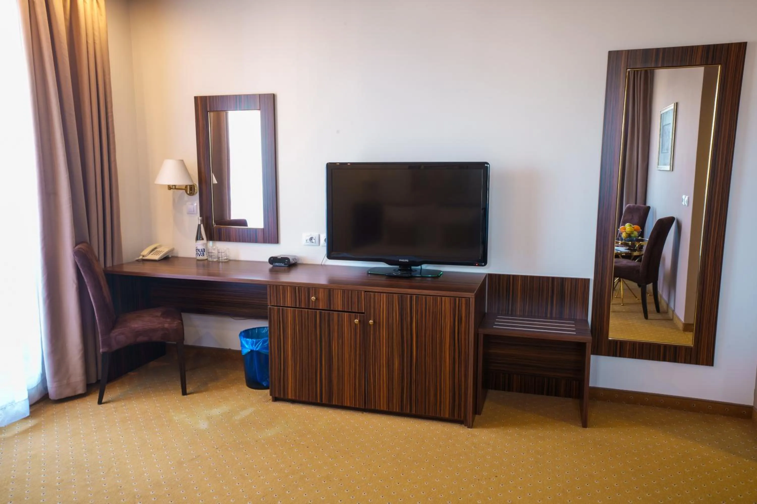 TV and multimedia in Hotel Monogram Park
