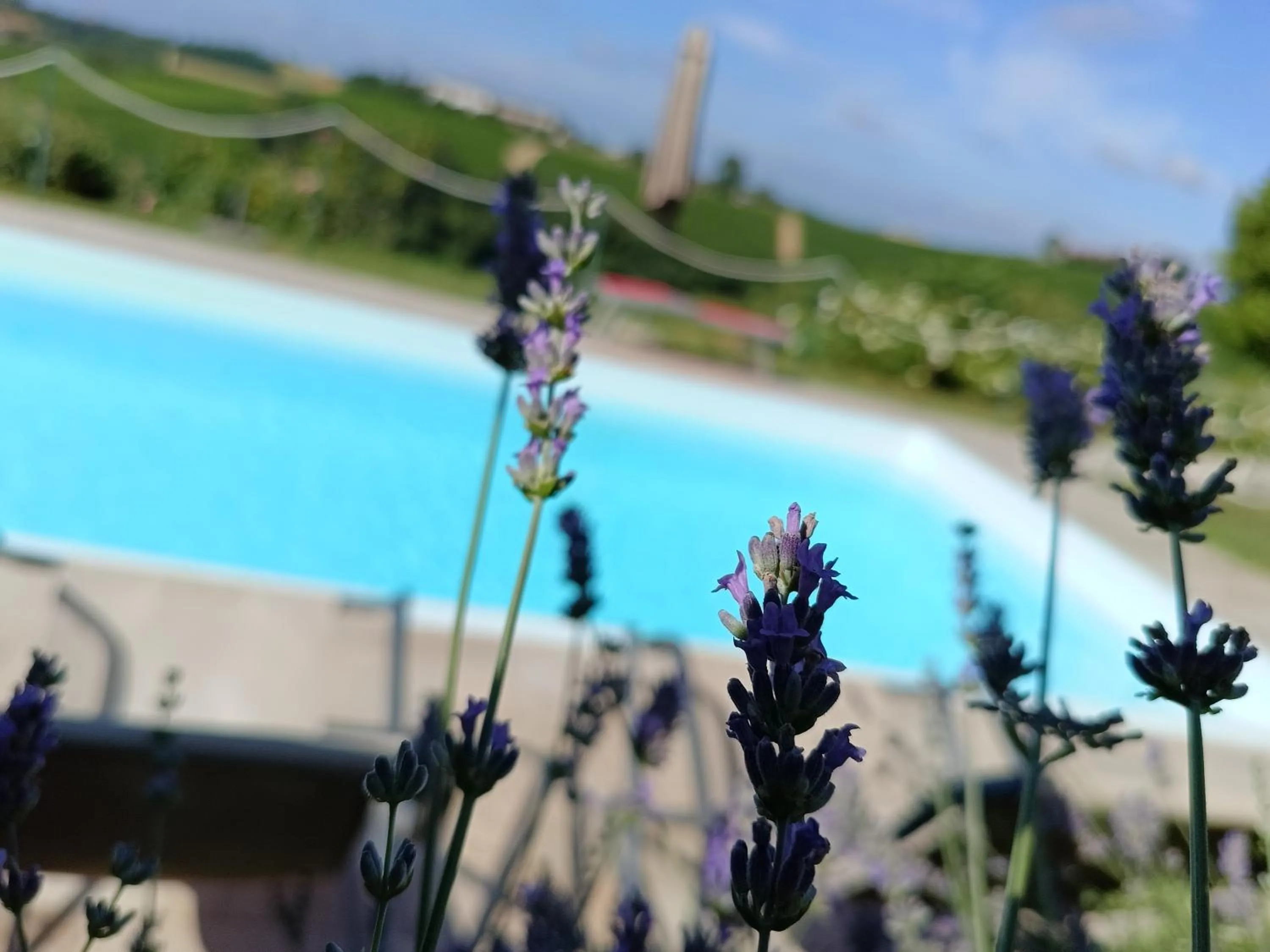 Swimming pool in B&B La Quercia