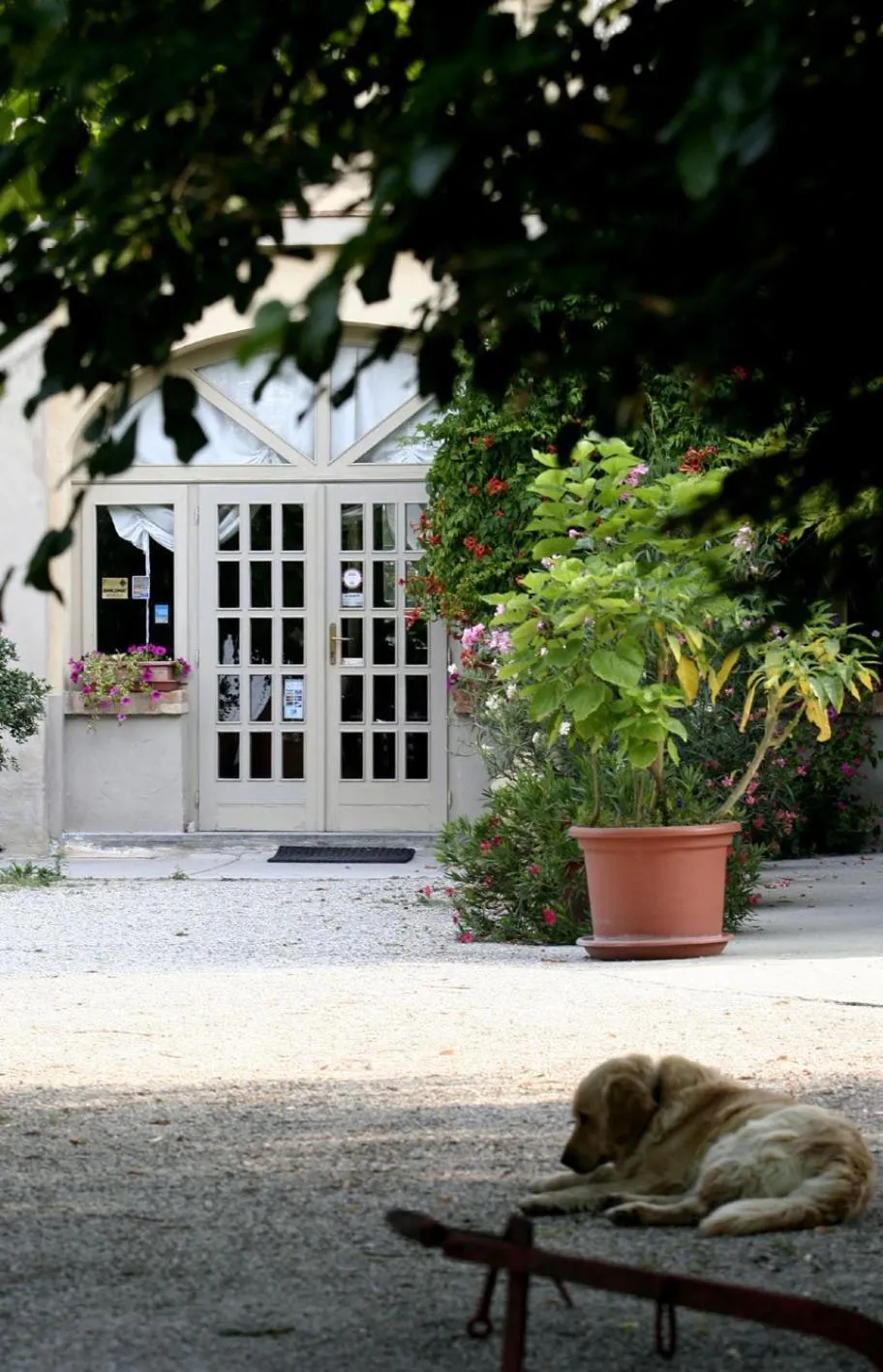 Property building in B&B La Quercia
