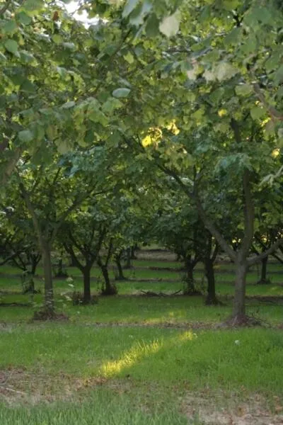 B&B La Quercia