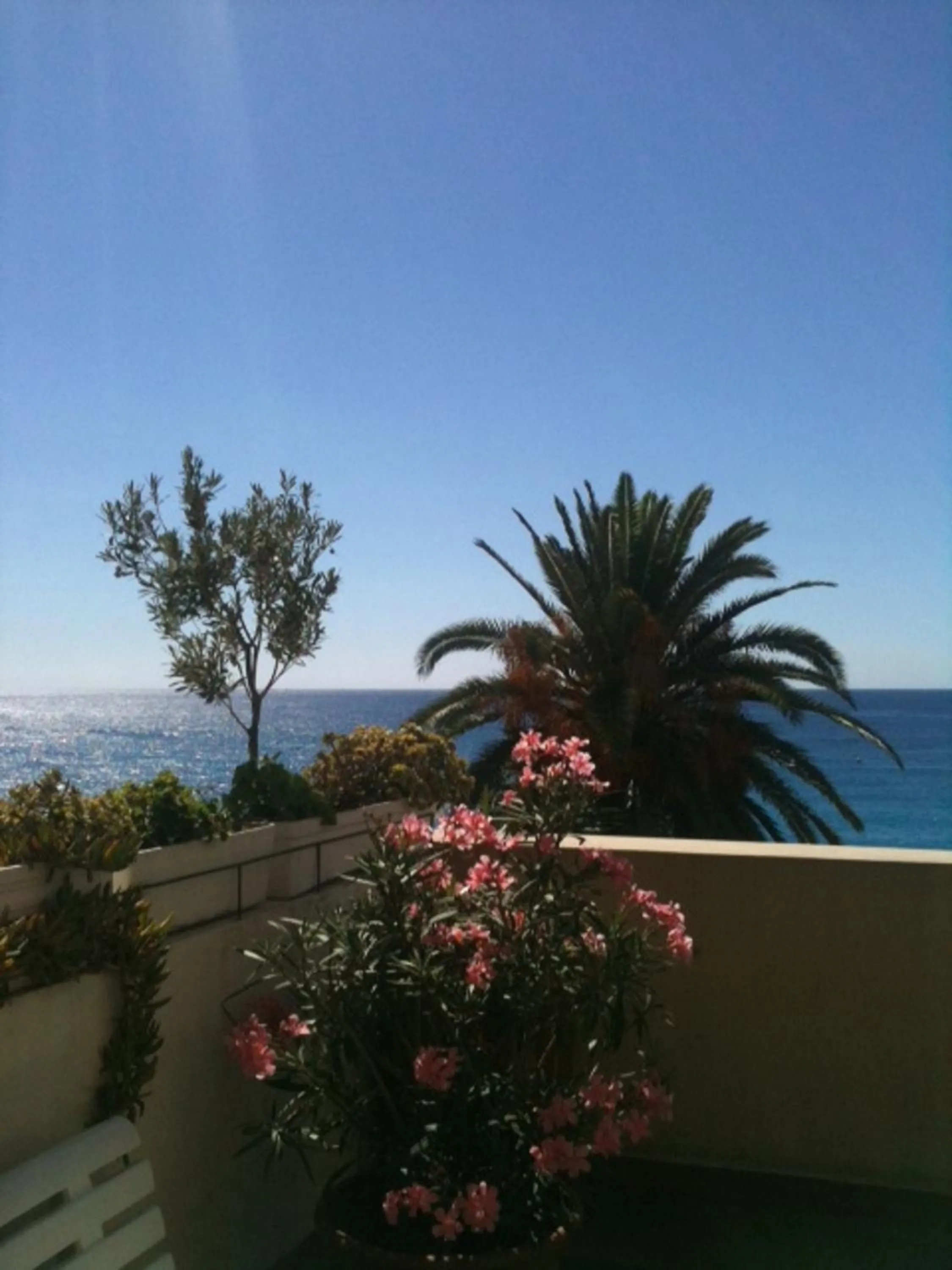 View (from property/room) in Hotel Cresp