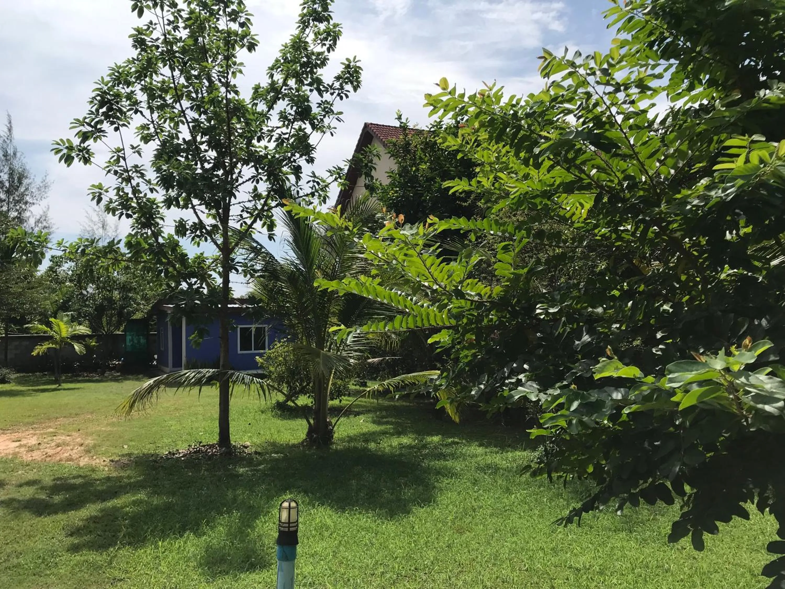 Natural landscape in Tara House