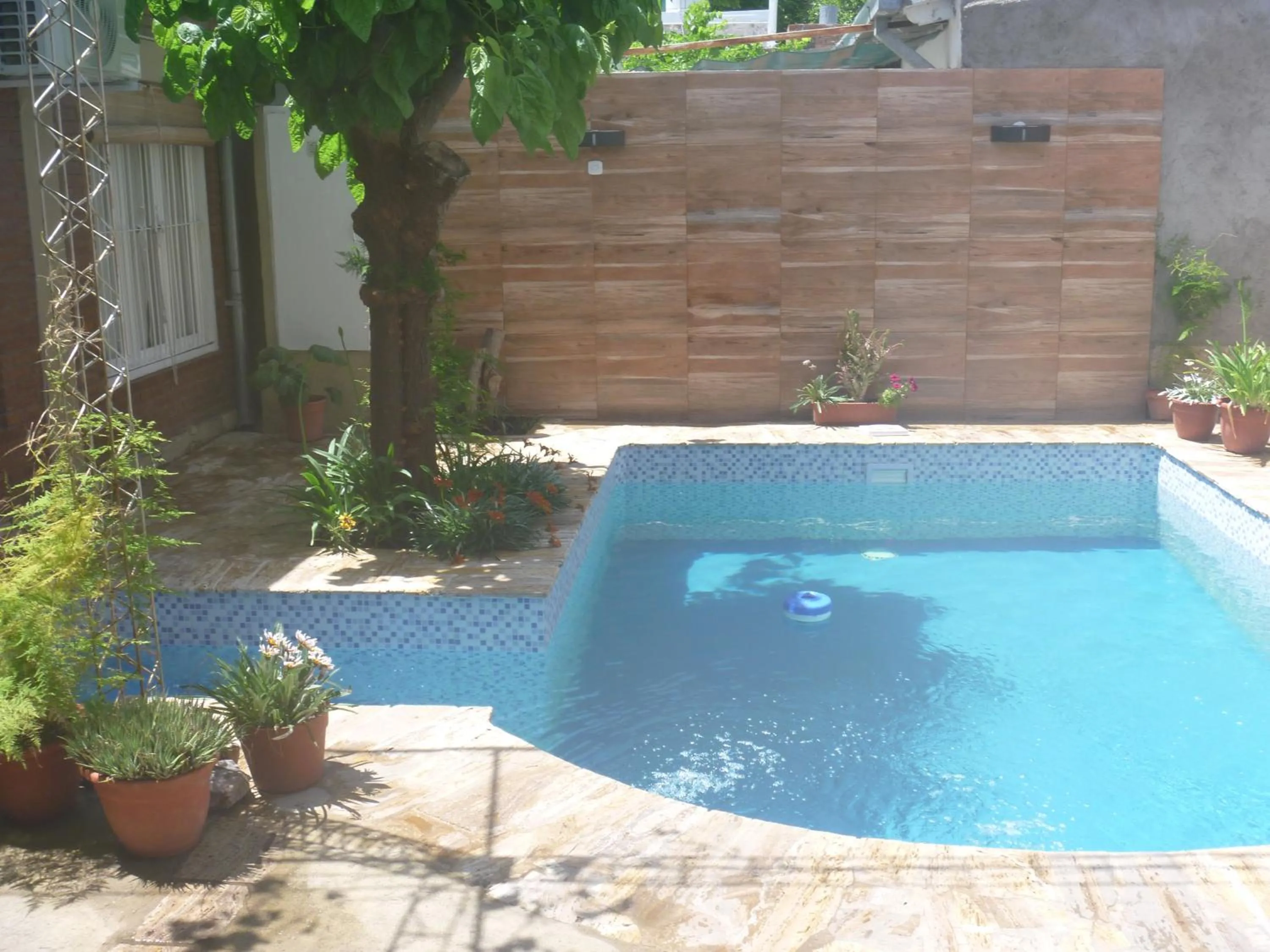 Pool view in La Parra Alquiler para turistas