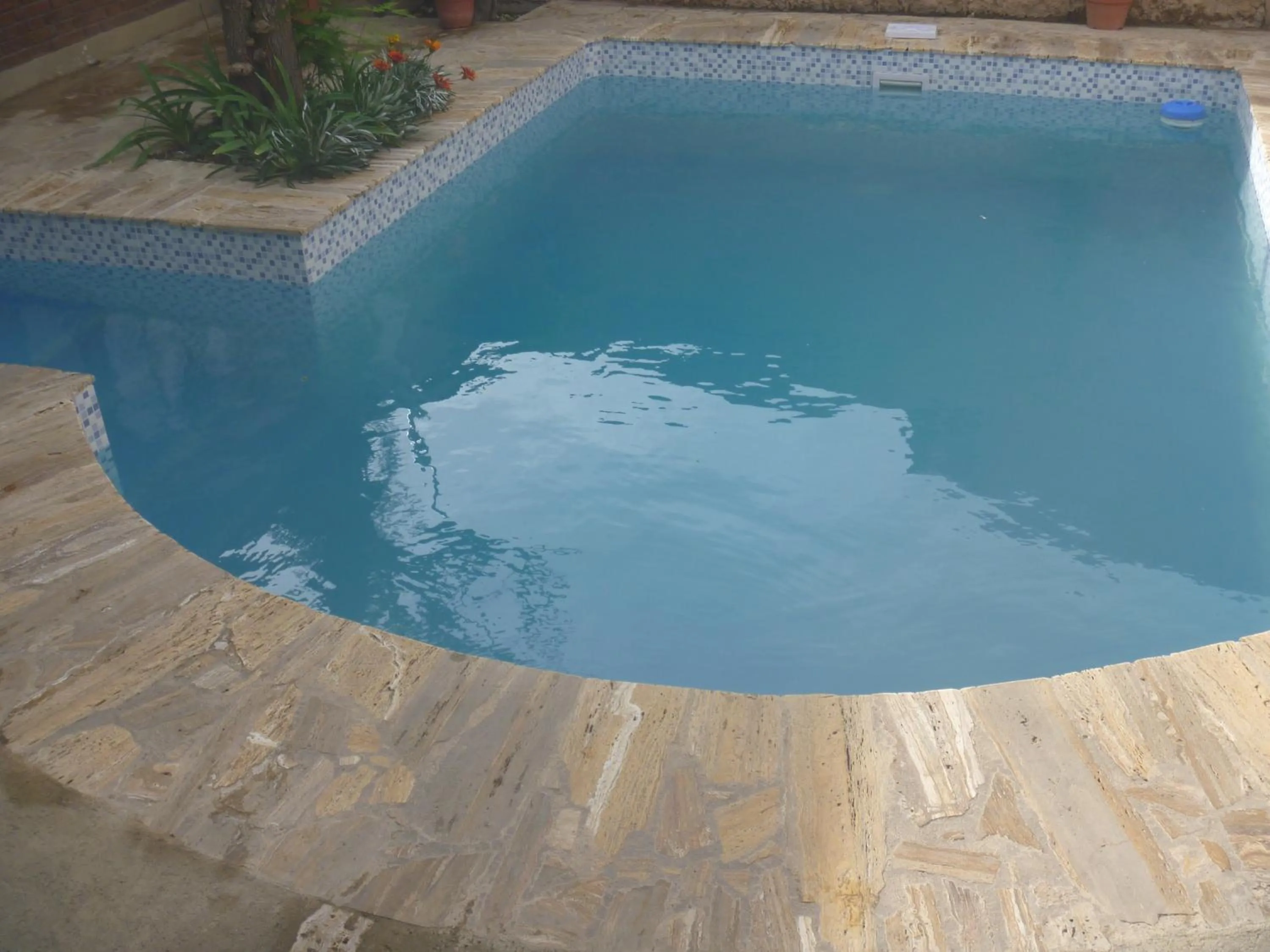 Pool view in La Parra Alquiler para turistas