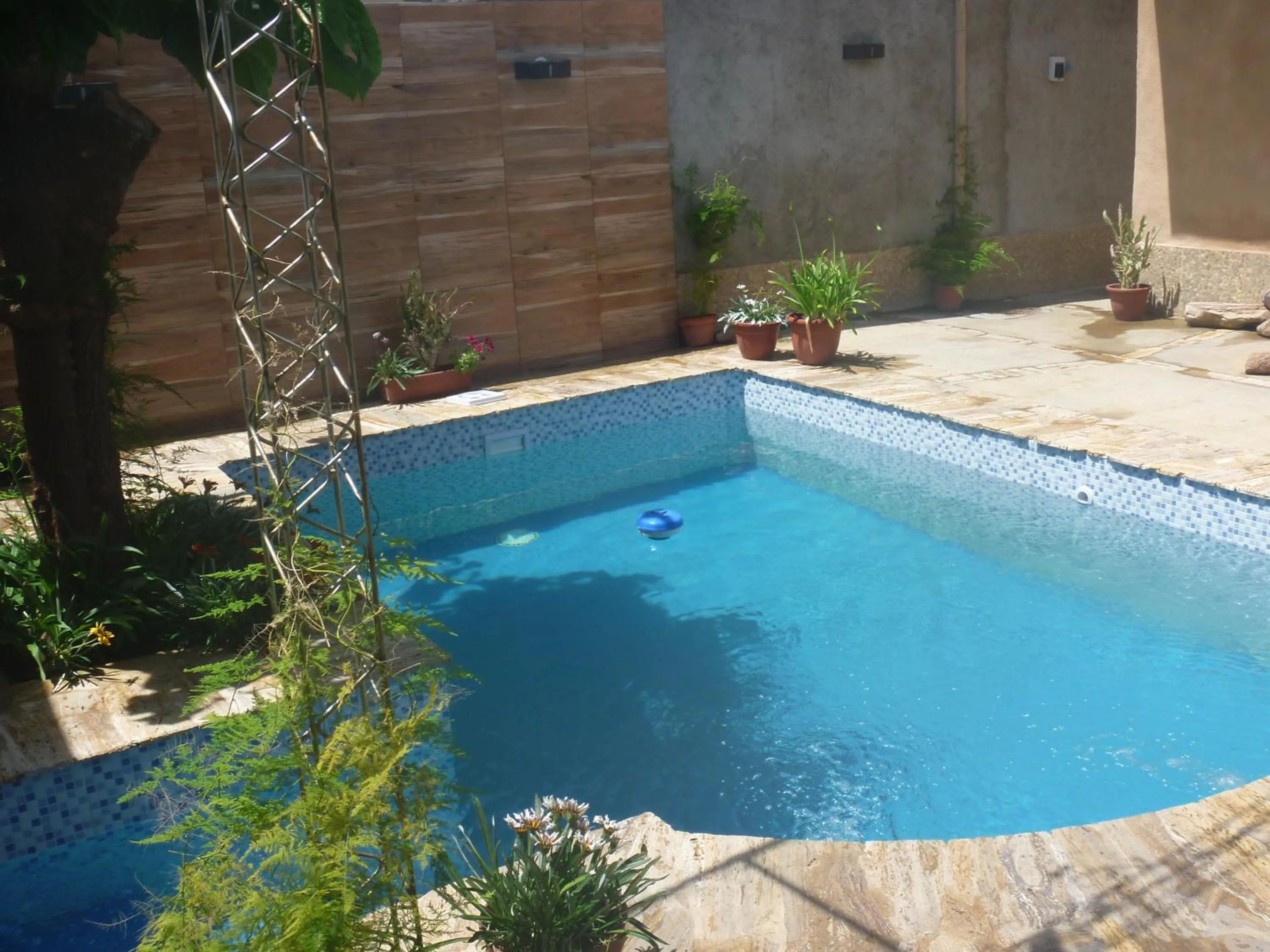 Pool view in La Parra Alquiler para turistas