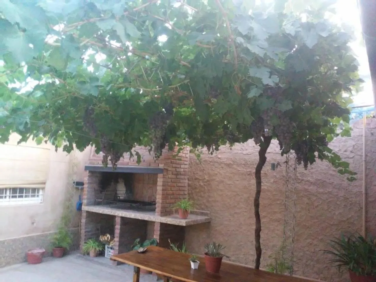 Patio in La Parra Alquiler para turistas
