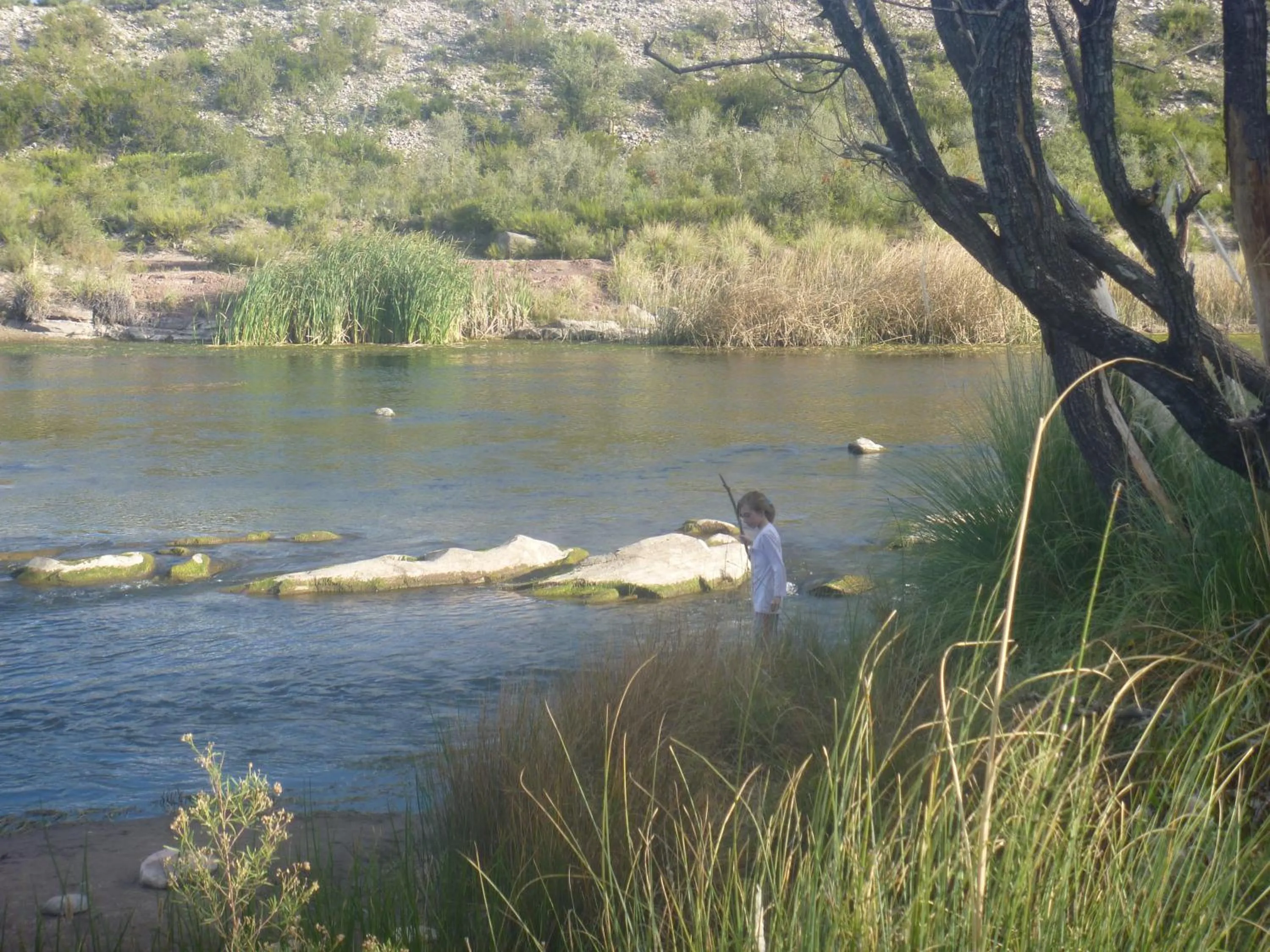 Natural landscape in La Parra Alquiler para turistas