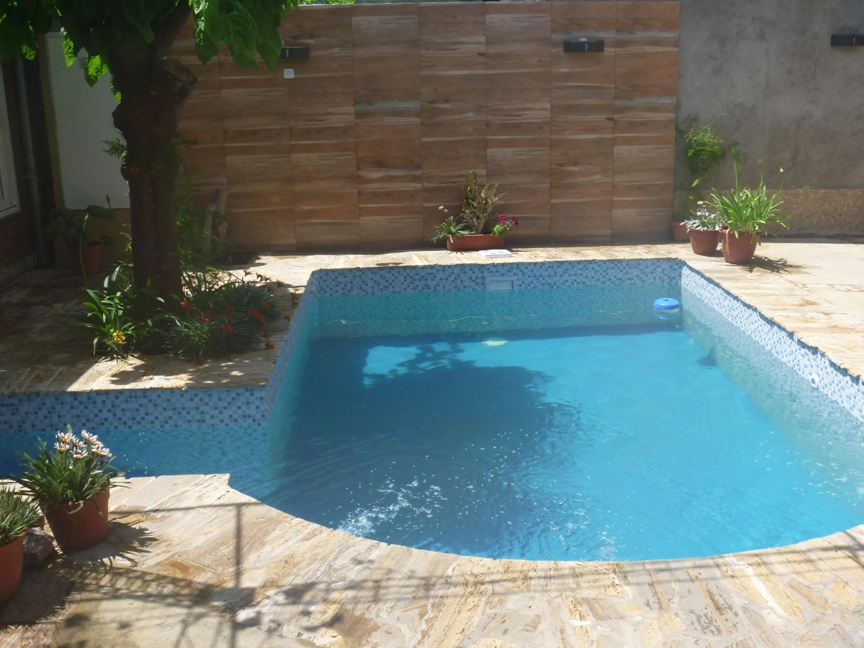 Swimming pool in La Parra Alquiler para turistas