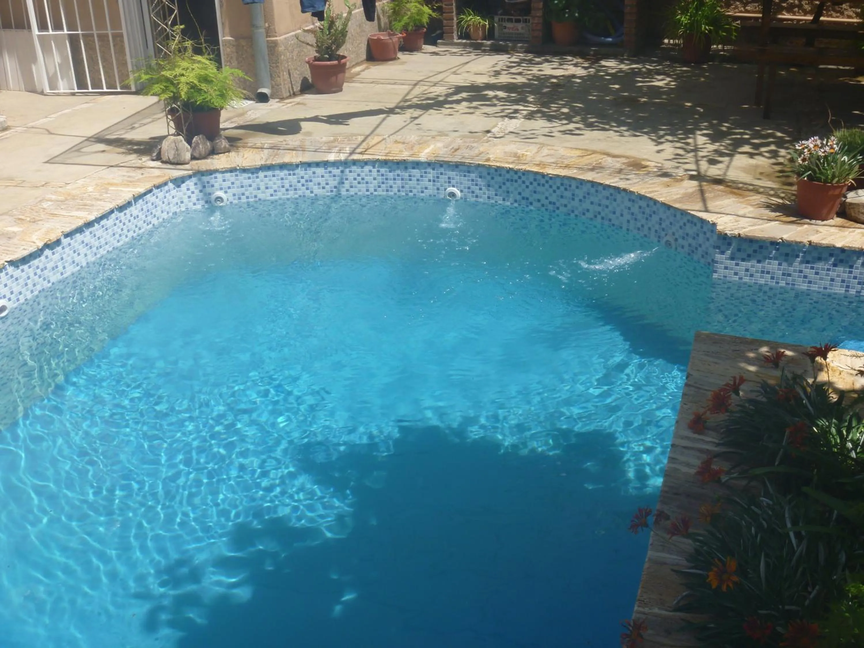Swimming pool in La Parra Alquiler para turistas