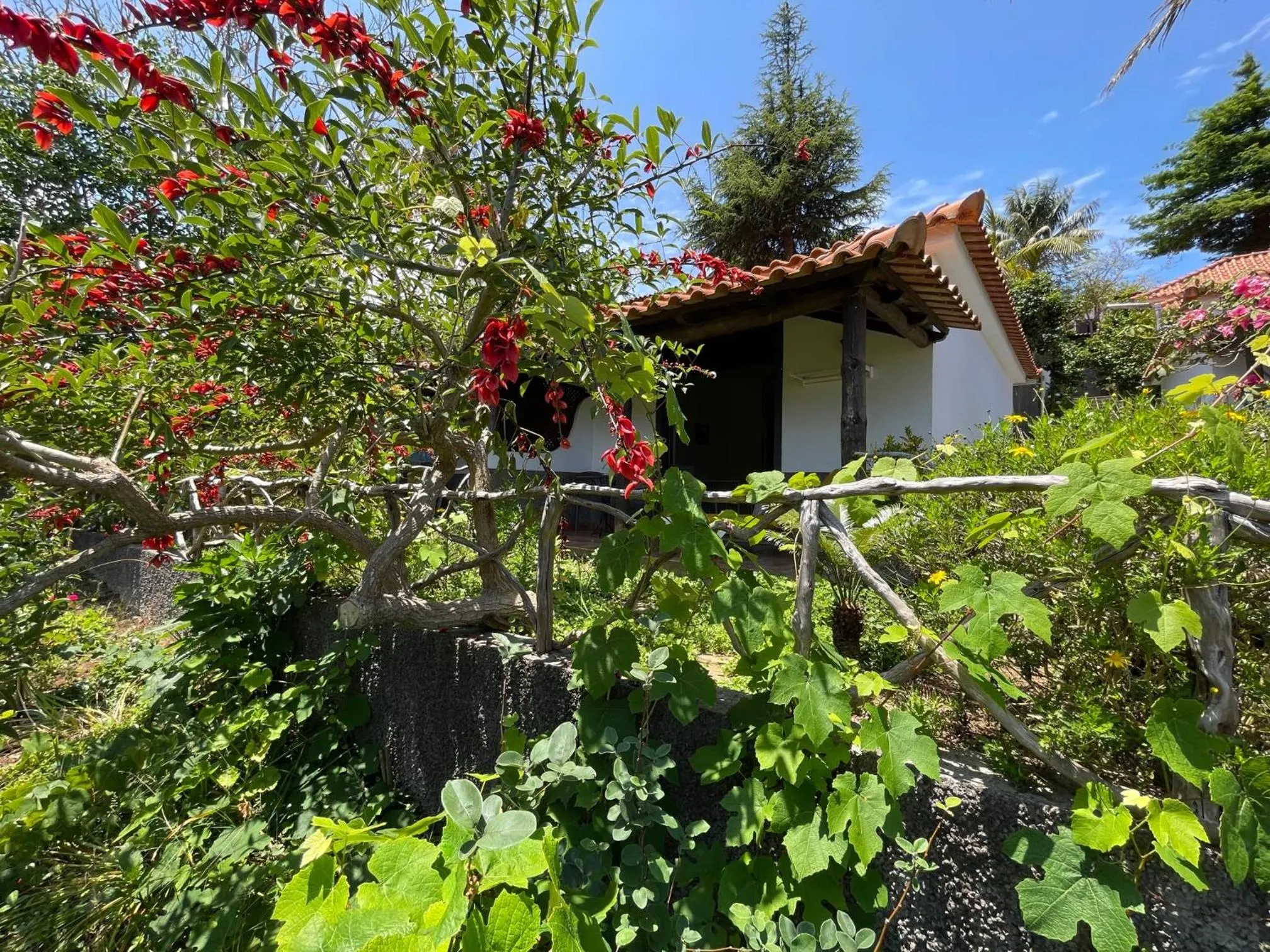 Garden in Casas de Campo do Pomar B&B - Self Check-in