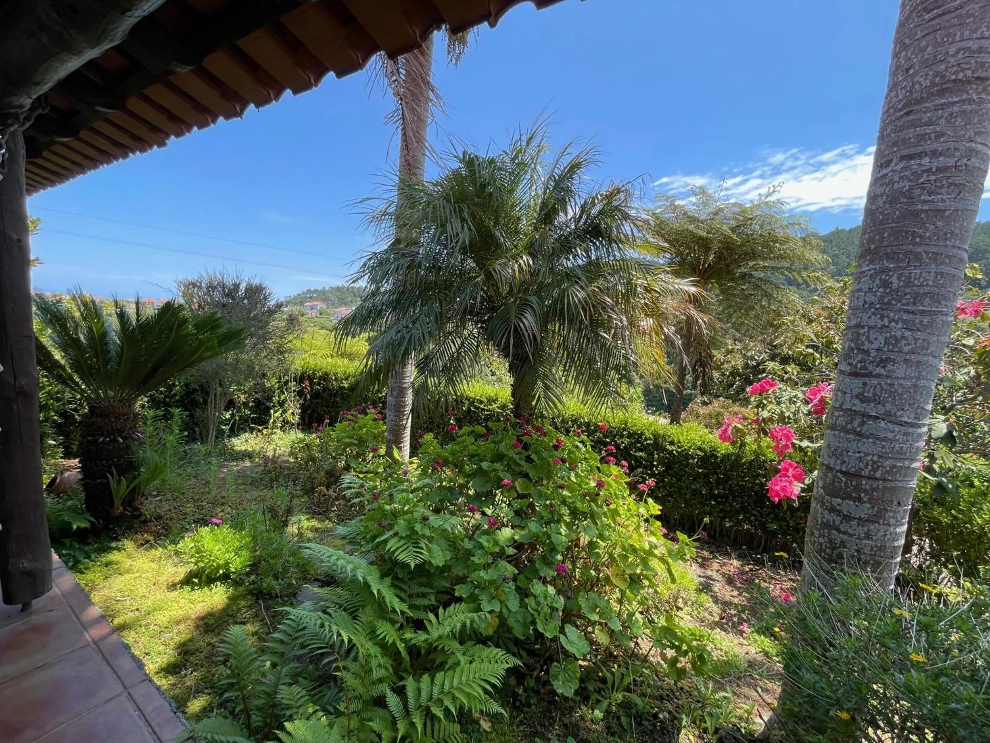 Garden in Casas de Campo do Pomar B&B - Self Check-in