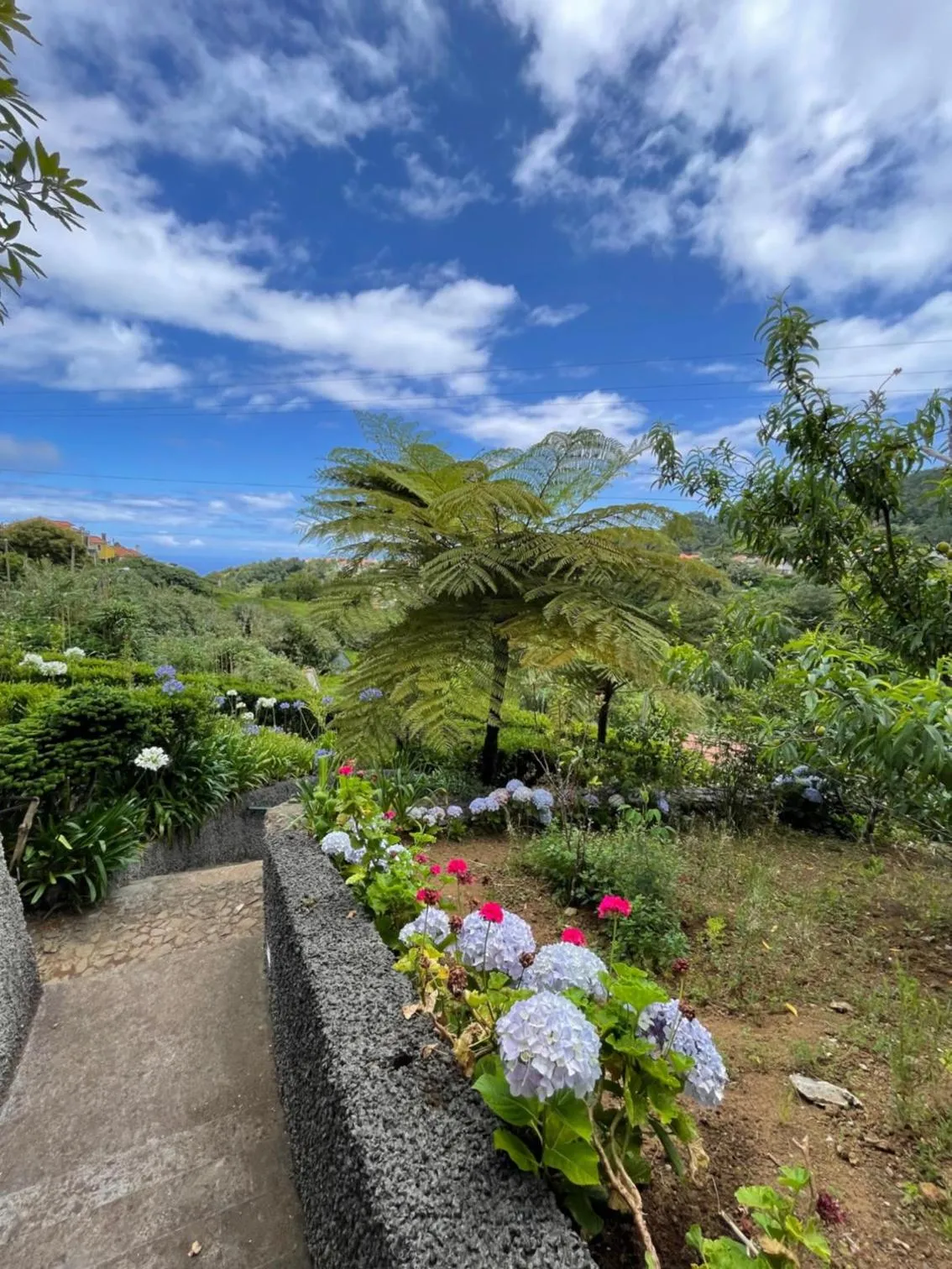Natural landscape in Casas de Campo do Pomar B&B - Self Check-in