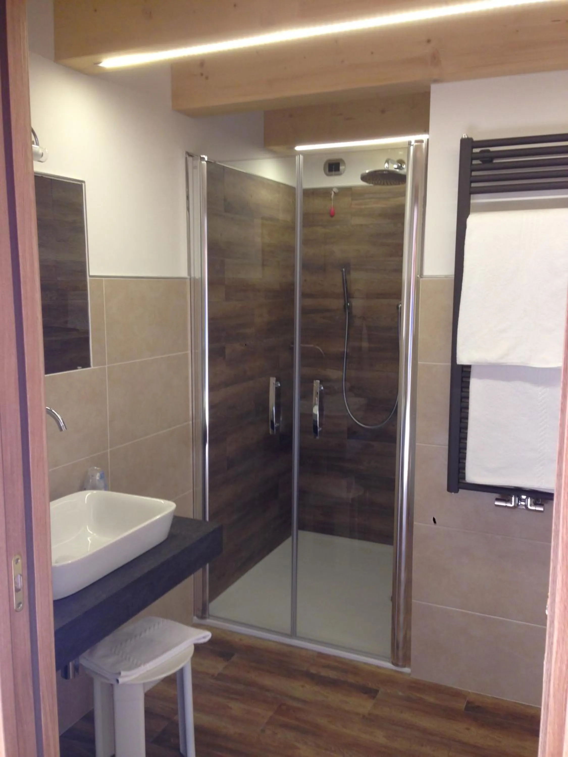 Shower in Hotel El Paster