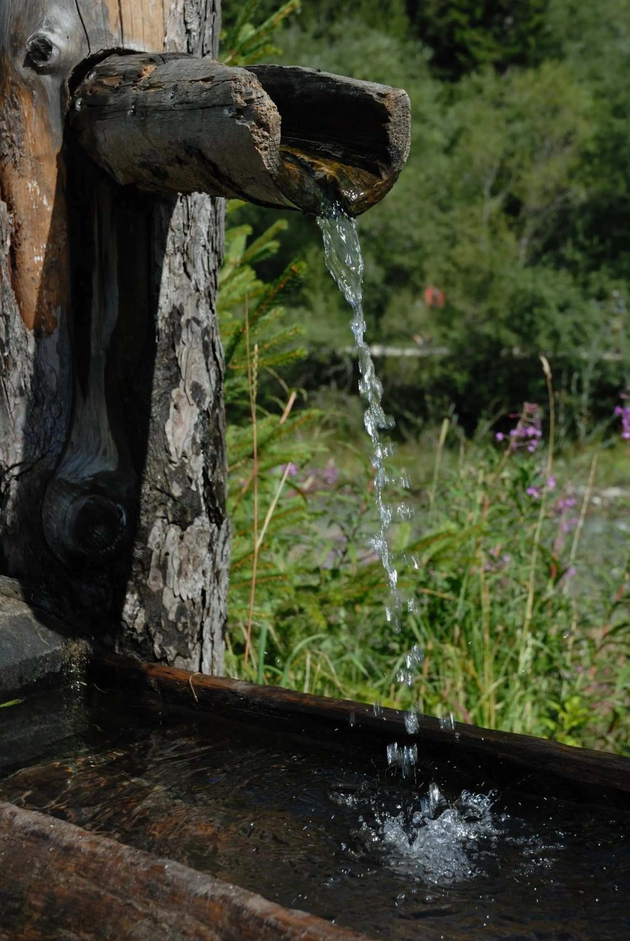 Other in Hotel El Paster