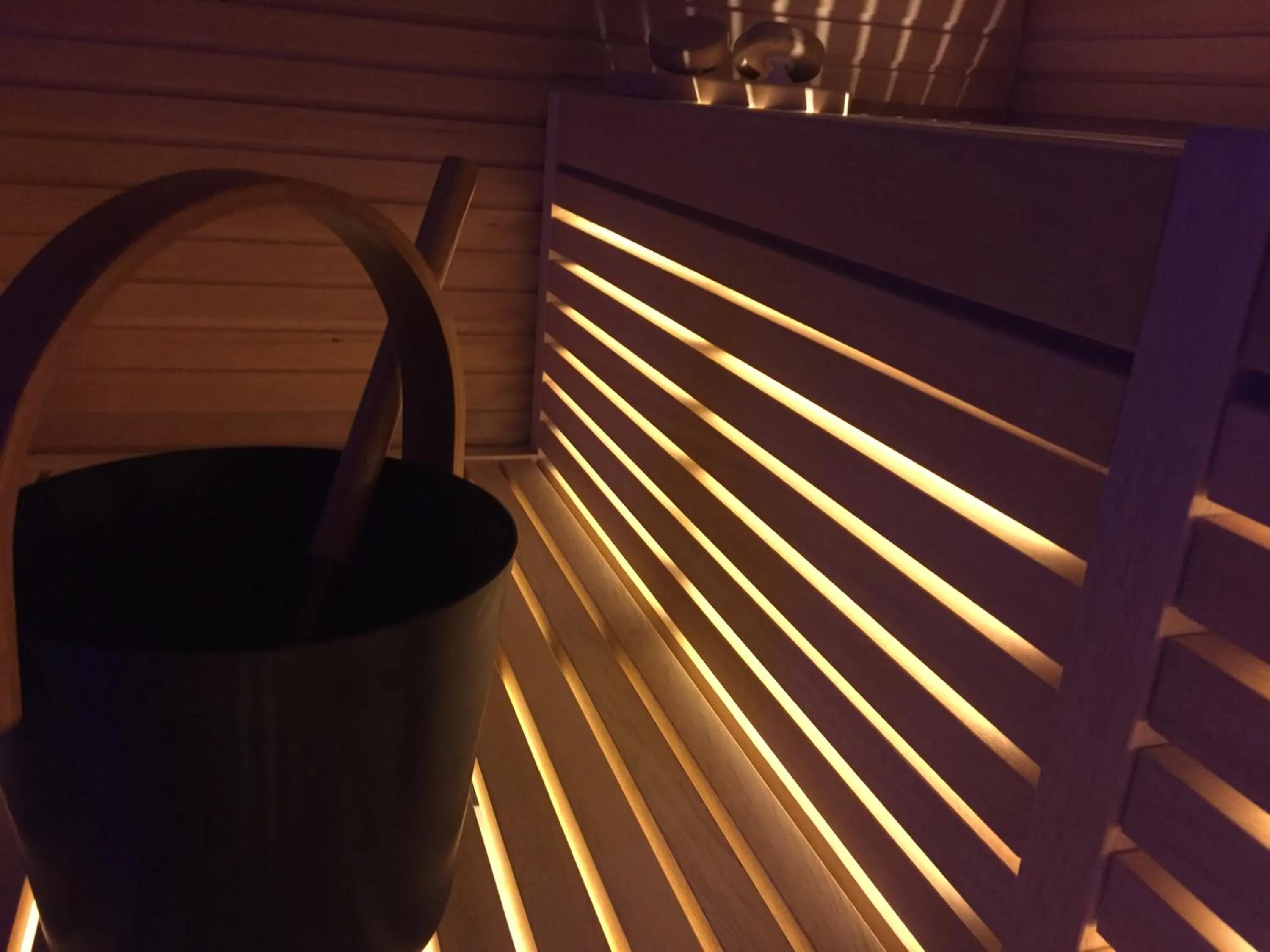 Sauna in Hotel El Paster