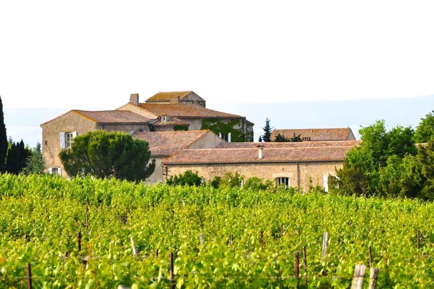 Area and facilities in Hôtel Château de Cavanac