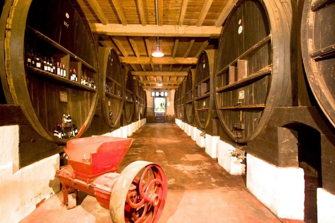 Area and facilities in Hôtel Château de Cavanac