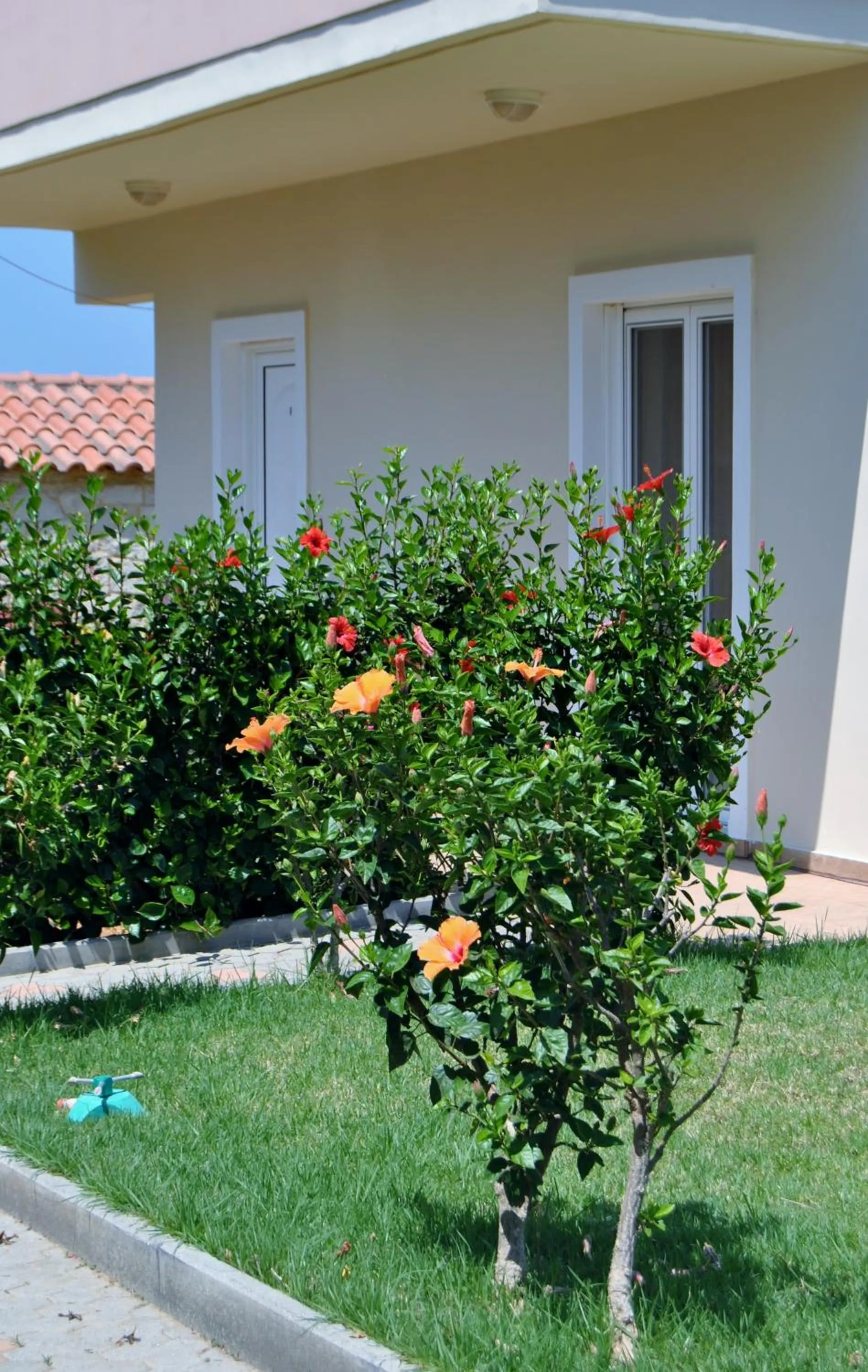 Facade/entrance in Dimitra & Evdokia Hotel