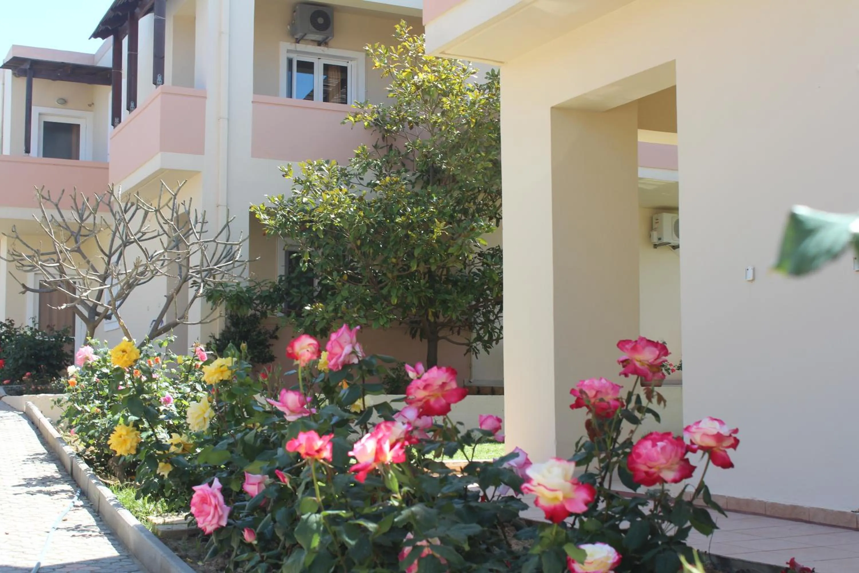 Facade/entrance in Dimitra & Evdokia Hotel