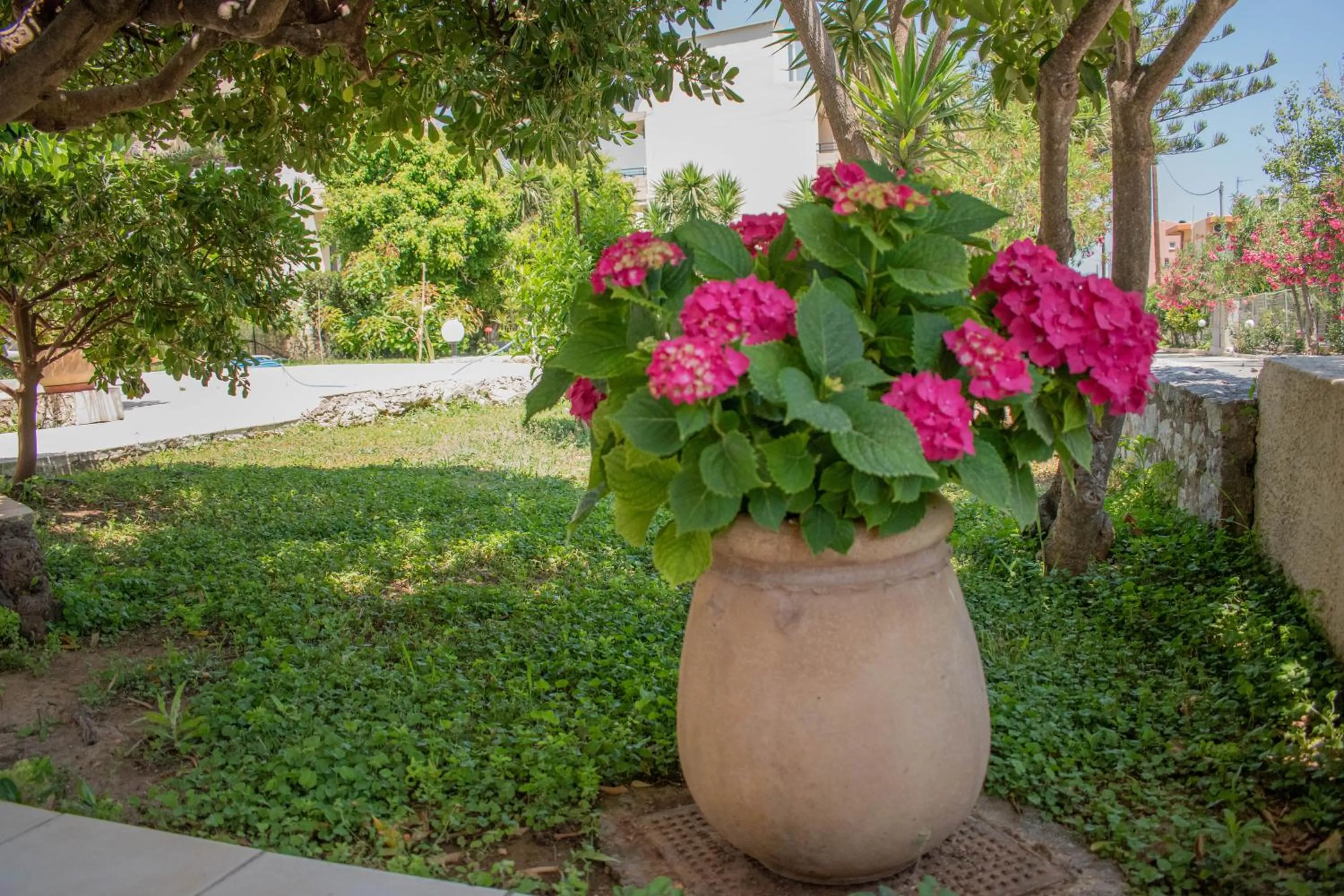 Garden view in Dimitra & Evdokia Hotel