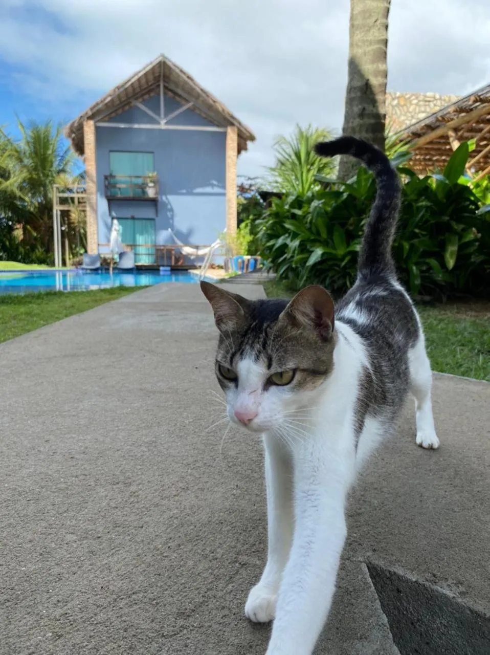 Villa Pantai Milagres Exclusive Hotel