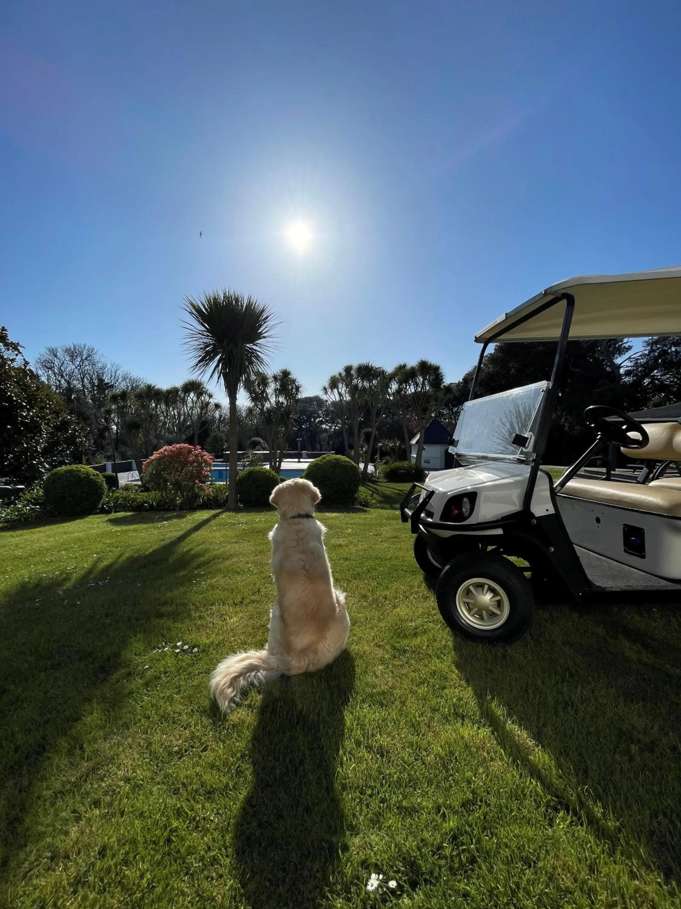 Garden in Westhill Country Hotel