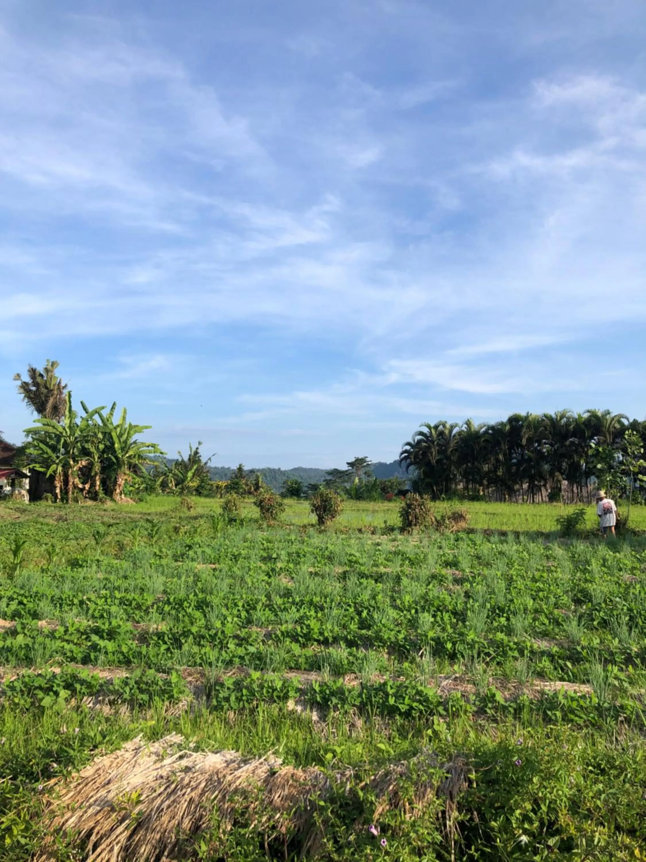 Amrita Villa Sidemen