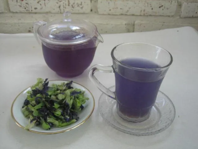 Amrita Villa Sidemen