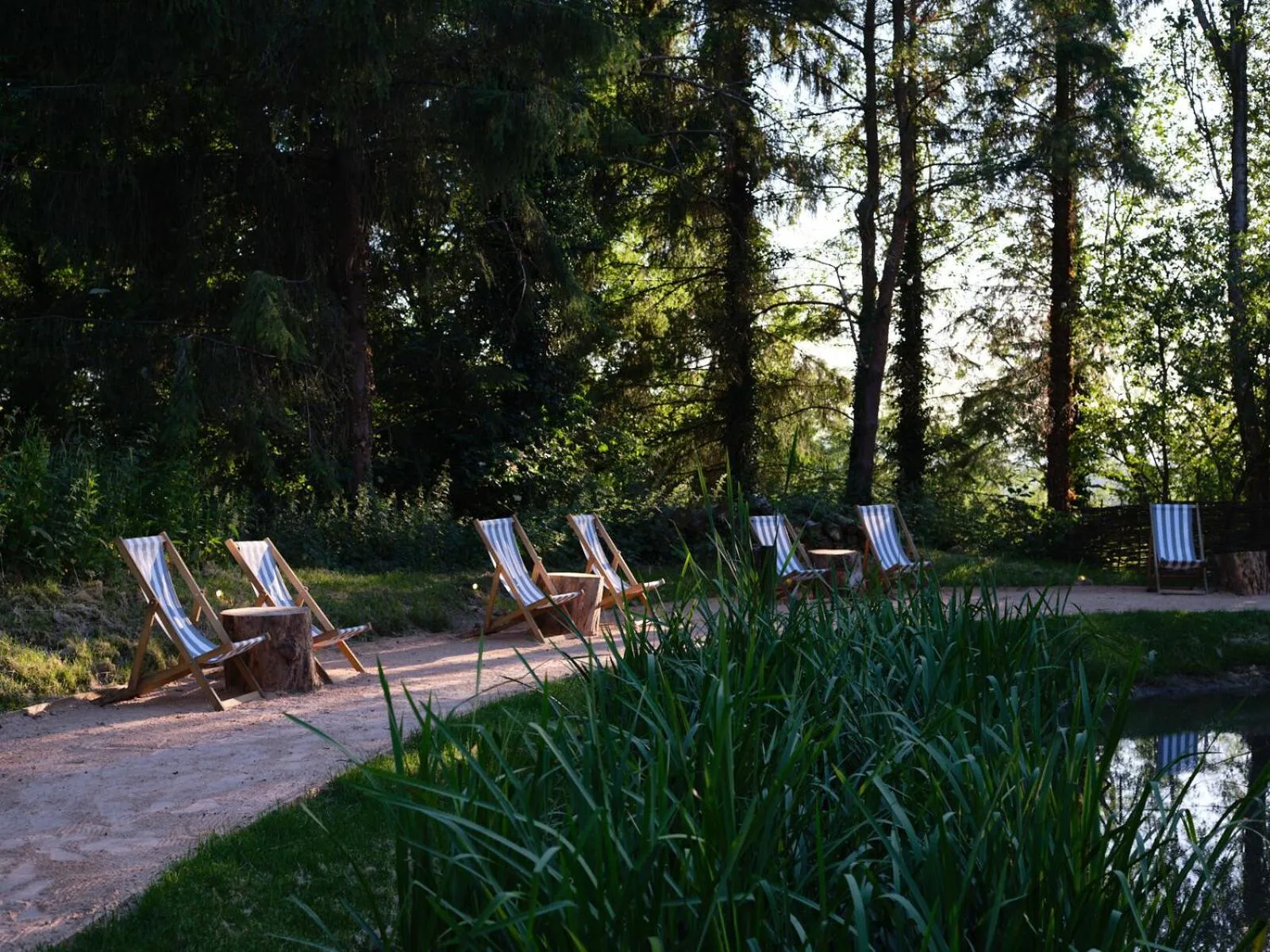 Garden in The Fish Hotel
