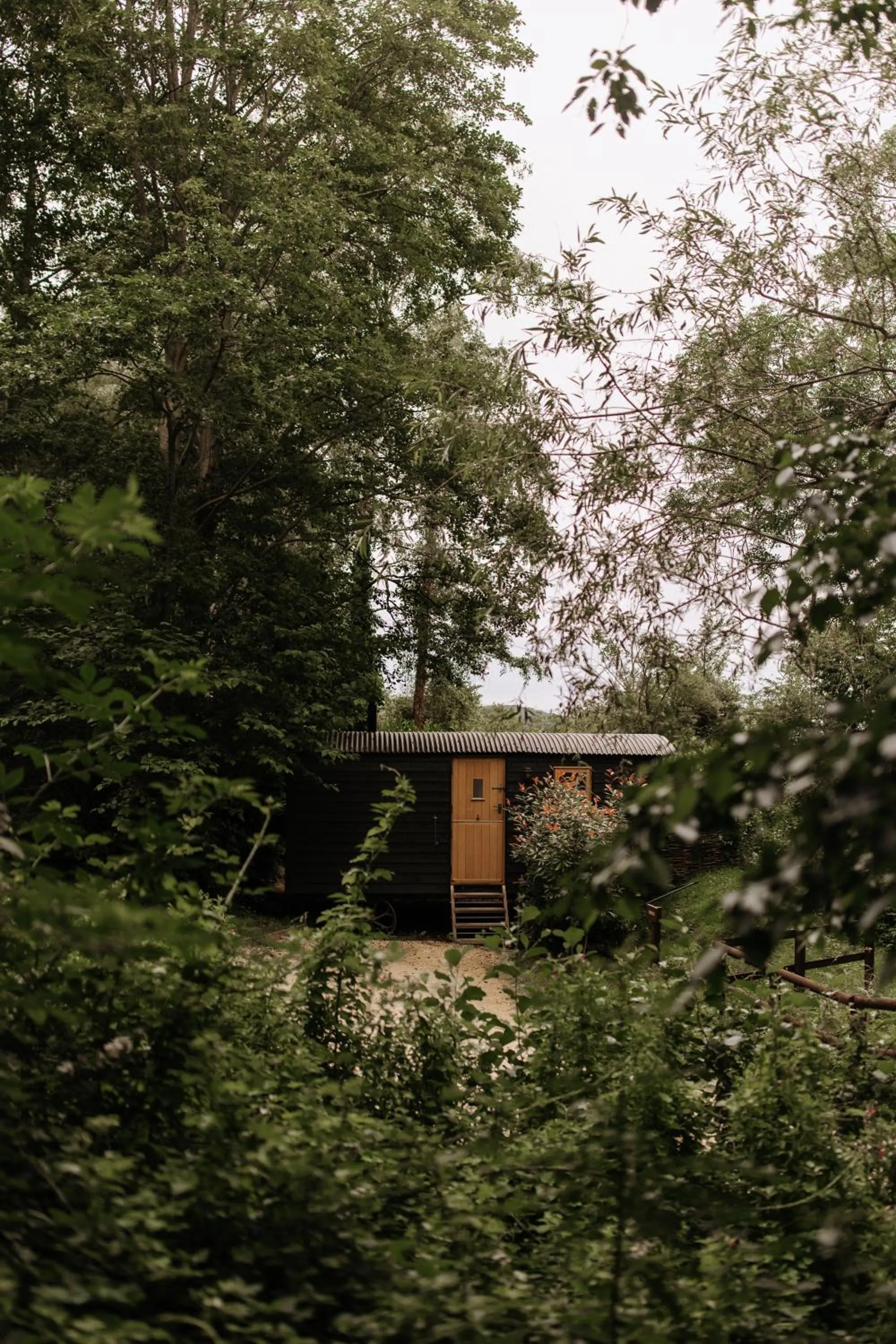 Property building in The Fish Hotel